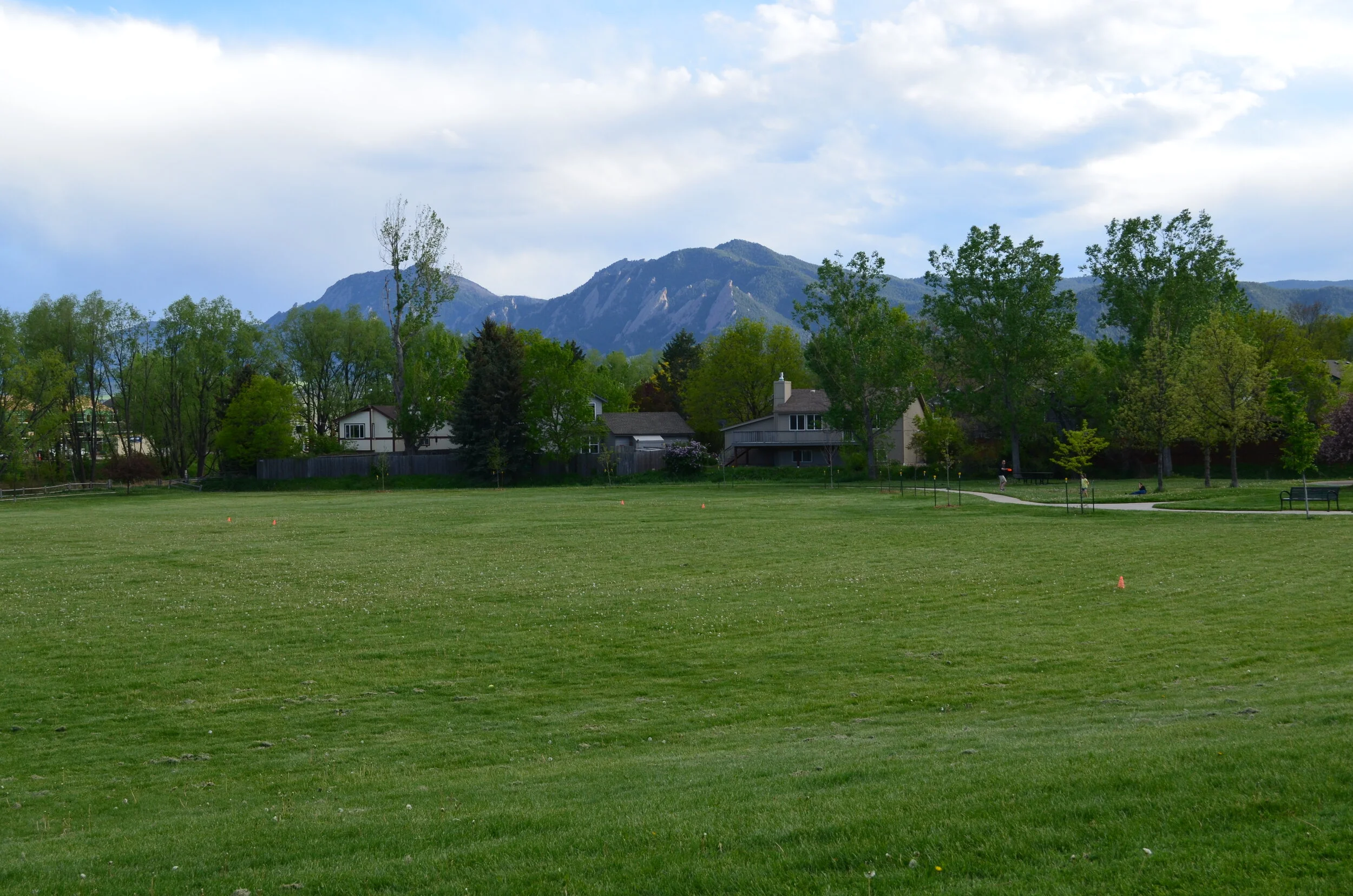 DSC_0061.jpg