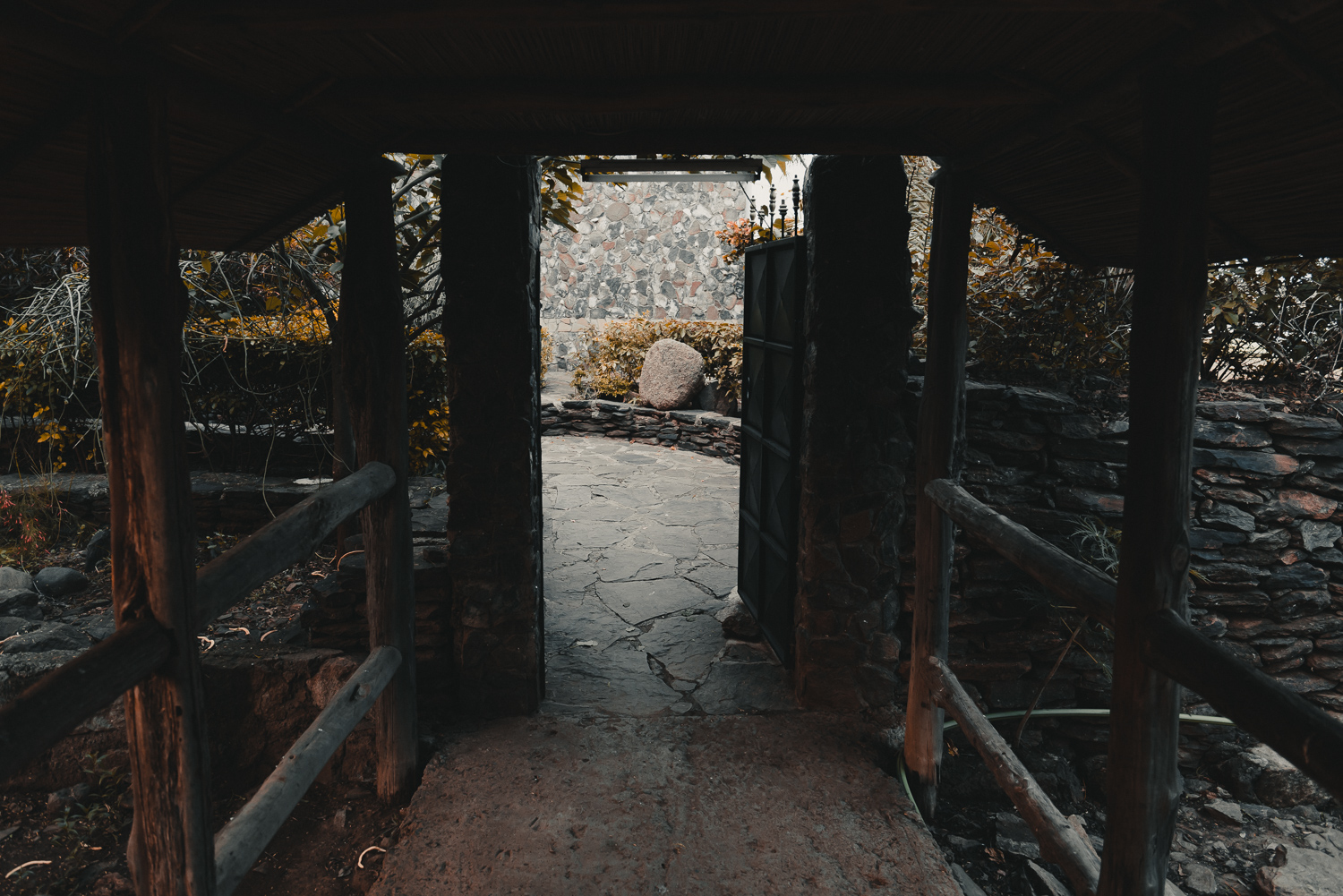 20180317-_A7R3562.jpg