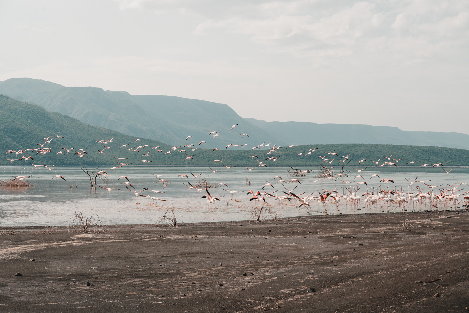 20180318-_A7R3715.jpg