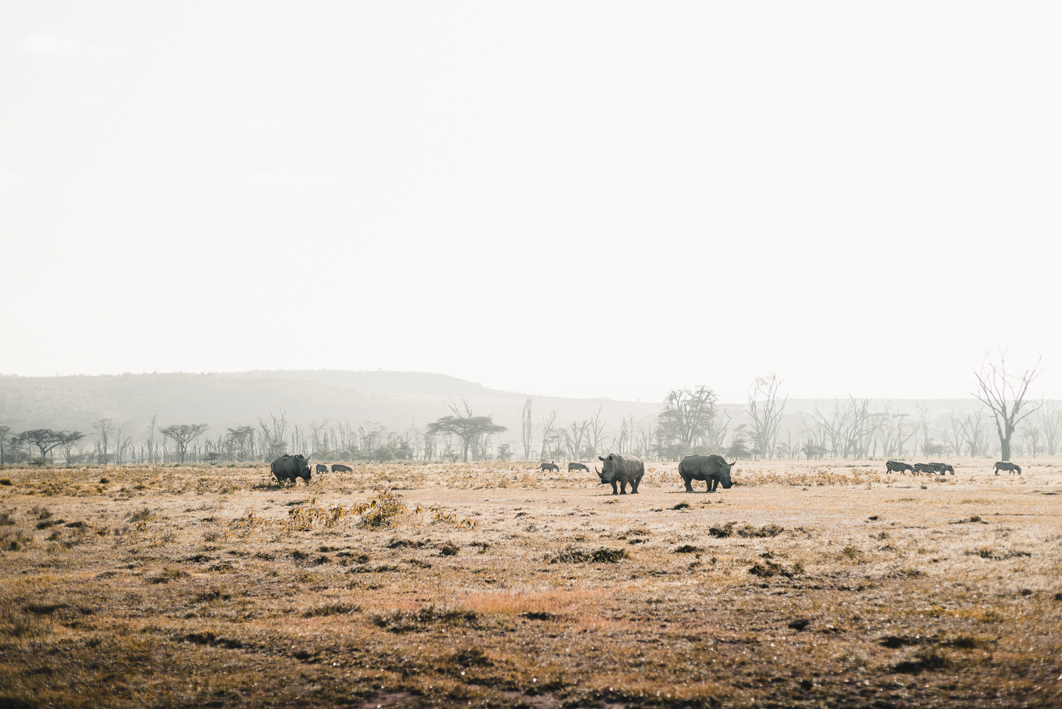 20180401-_A7R4578.jpg