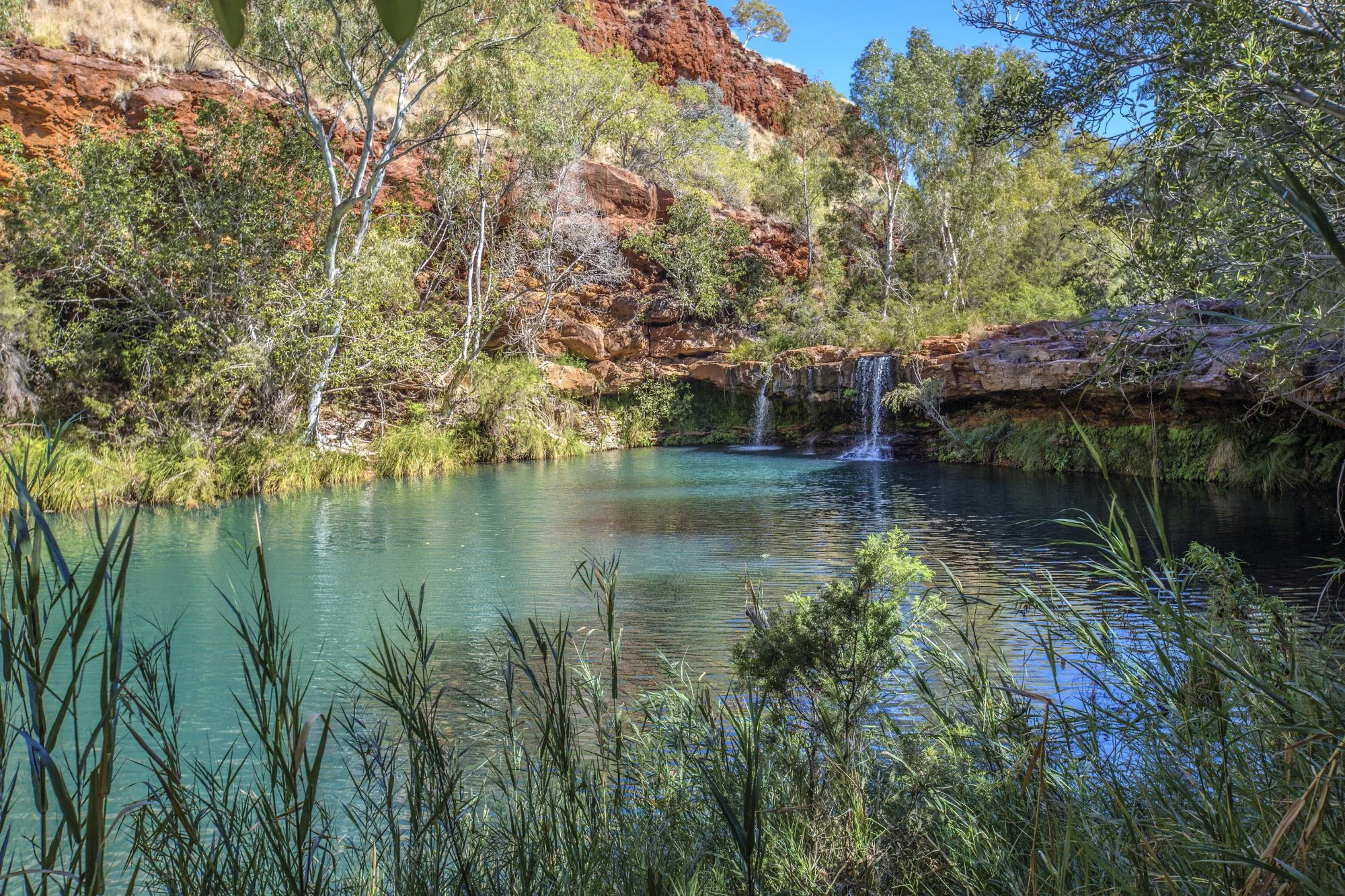 Karijini Tours Fern Pool.jpg