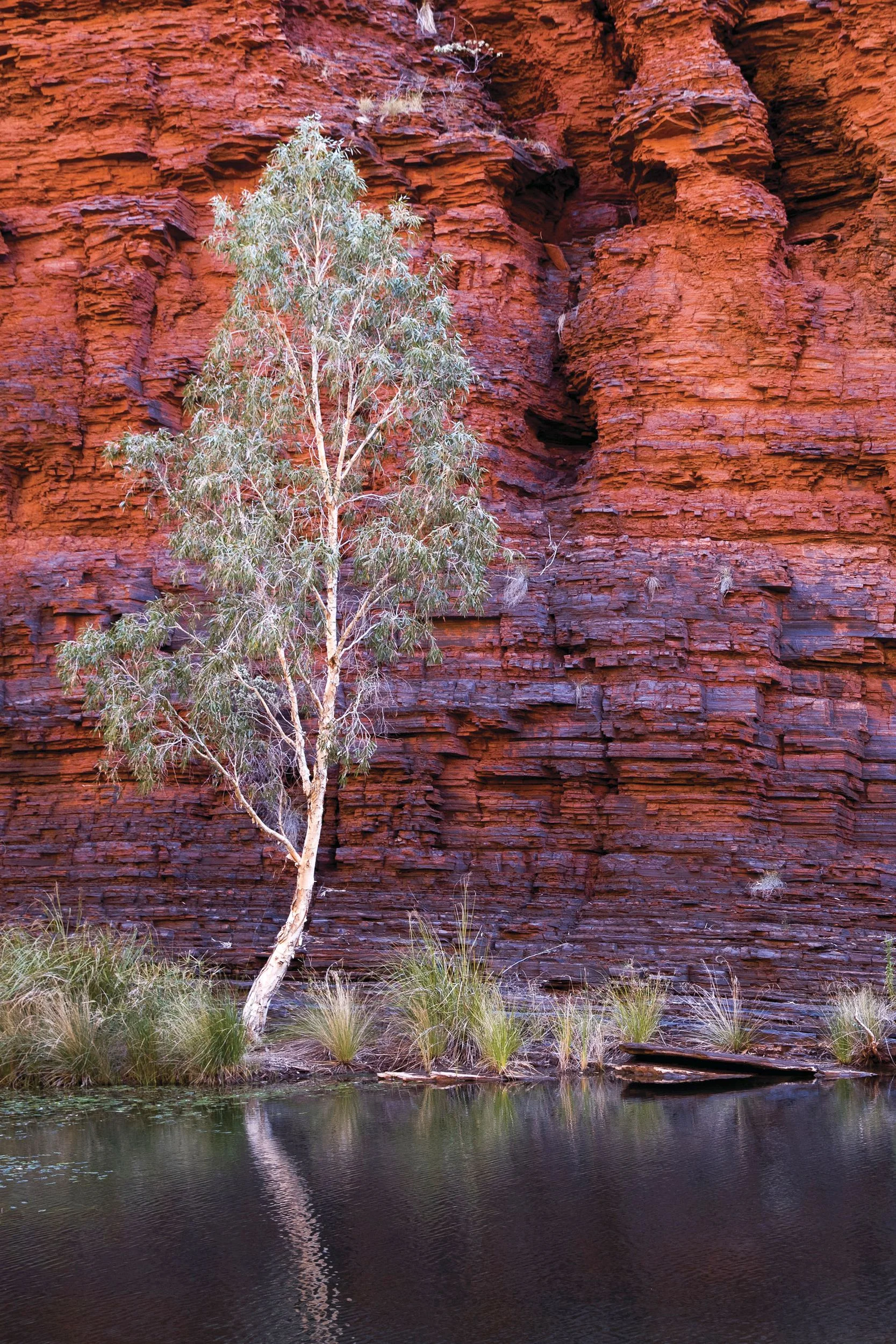 Karijini Tours Dales Gorge.jpg