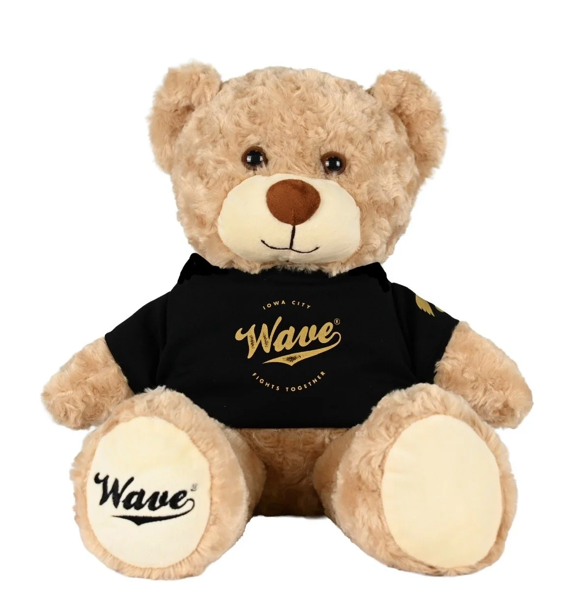 Teddy Image for Email.jpeg