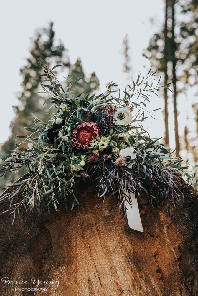 Mountain Elopement in Shaver Lake California by Bessie Young Photography Wild Elopement - Adventure Elopement-269.jpg