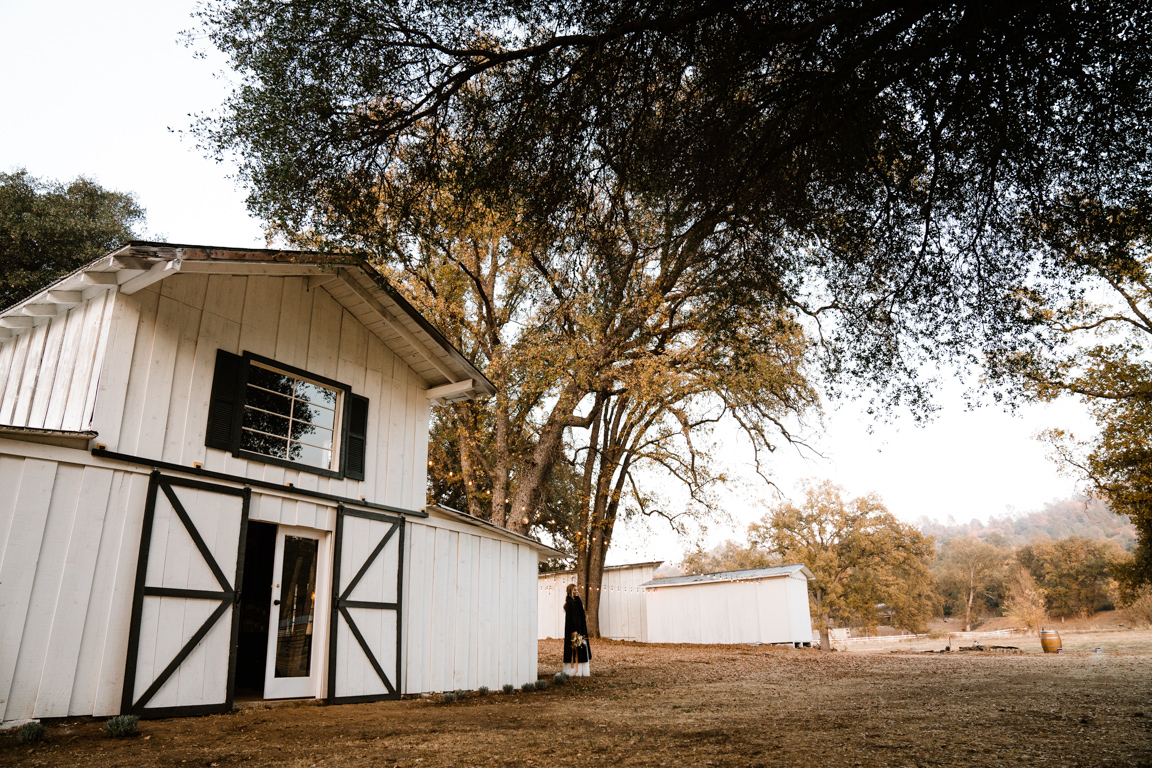 The Meadows Wedding Venue