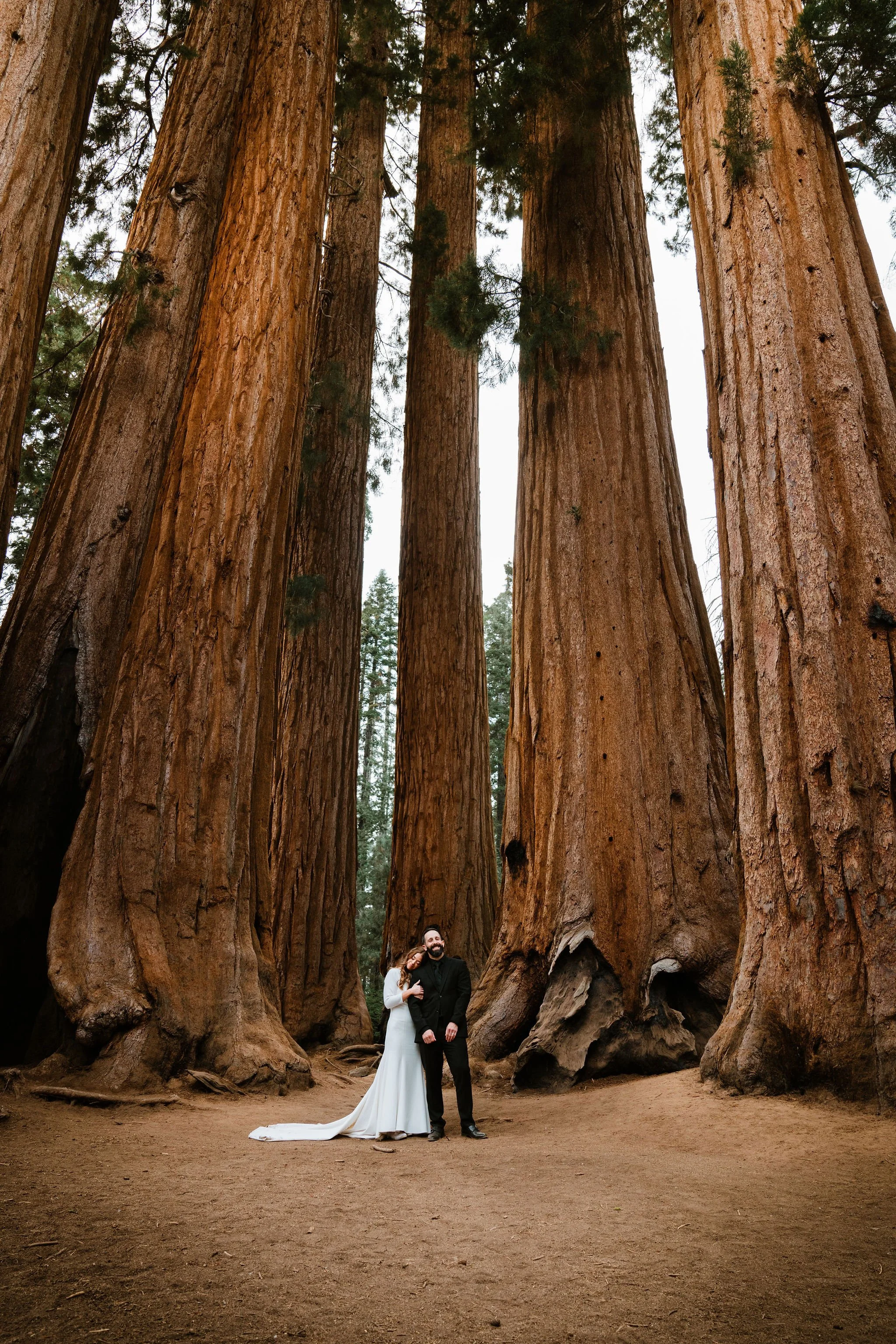 HalieandJeremysWeddingSequioaNatioalPark-BessieYoungPhotography-731.jpg
