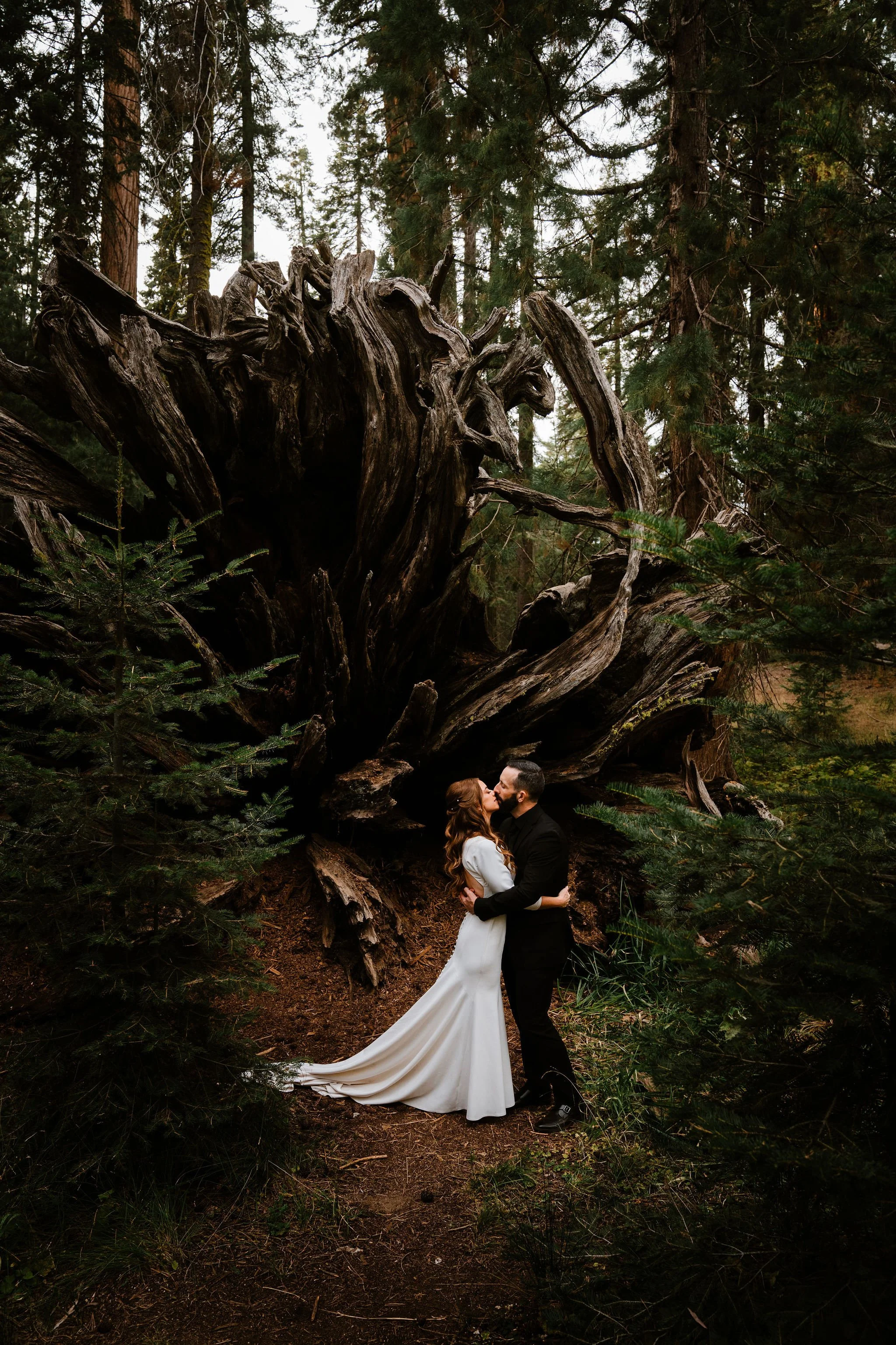 HalieandJeremysWeddingSequioaNatioalPark-BessieYoungPhotography-542.jpg