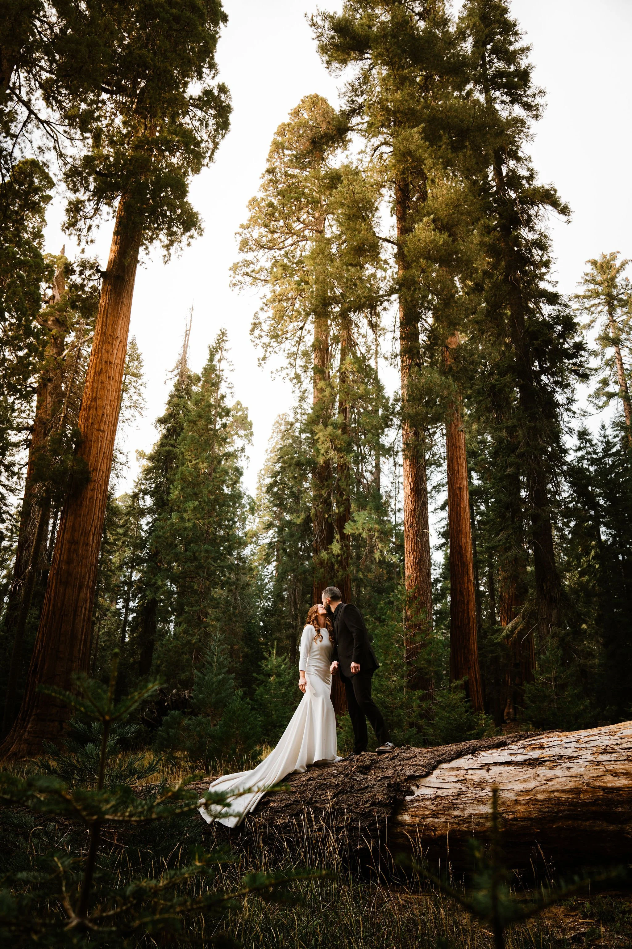 HalieandJeremysWeddingSequioaNatioalPark-BessieYoungPhotography-490.jpg