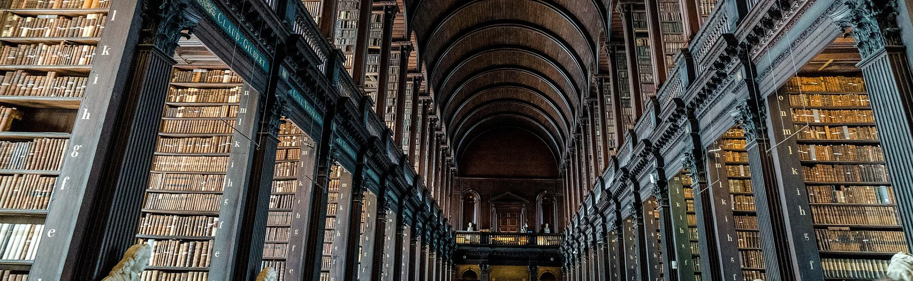 library 8.jpg