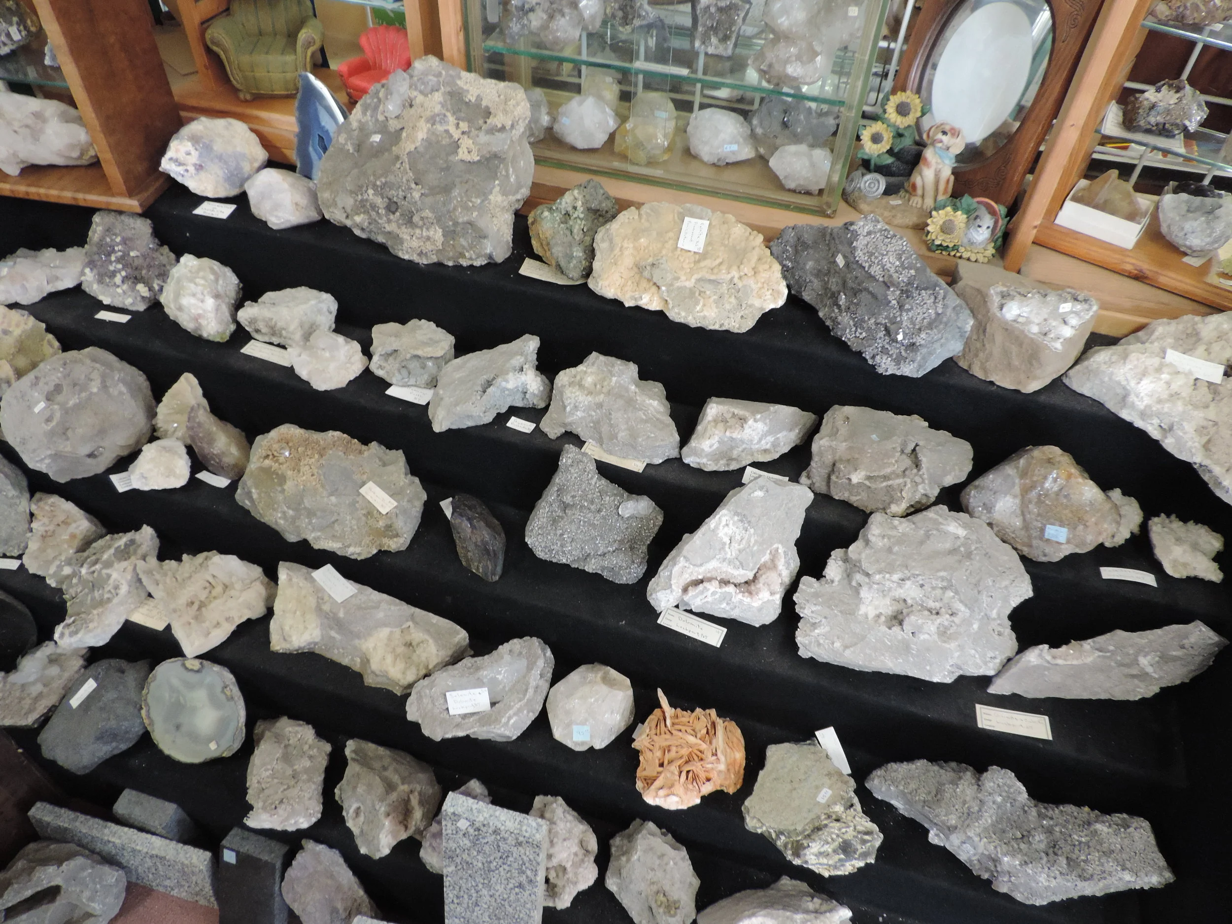 DSCN4818.jpg