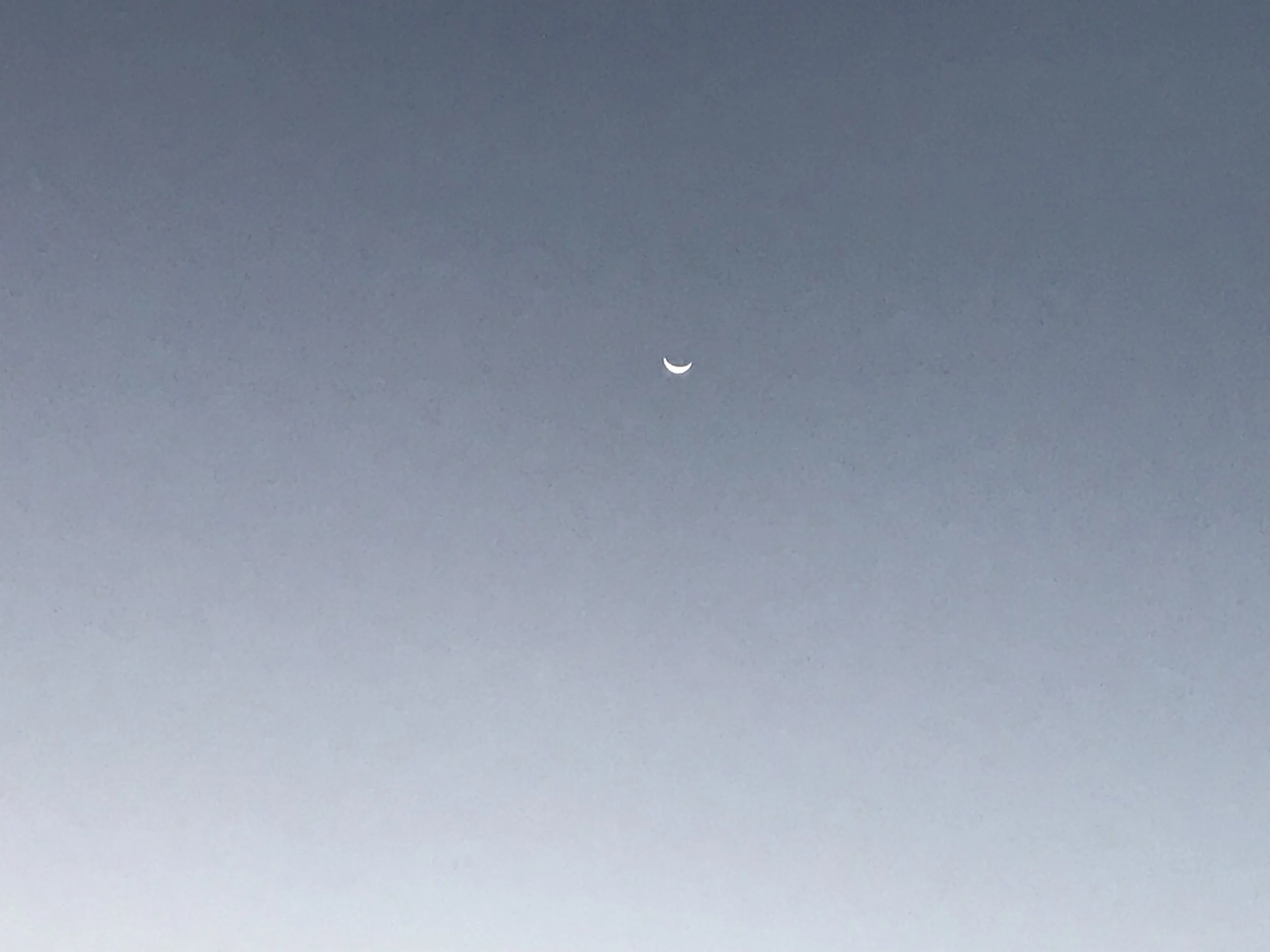 IMG_7341.jpeg