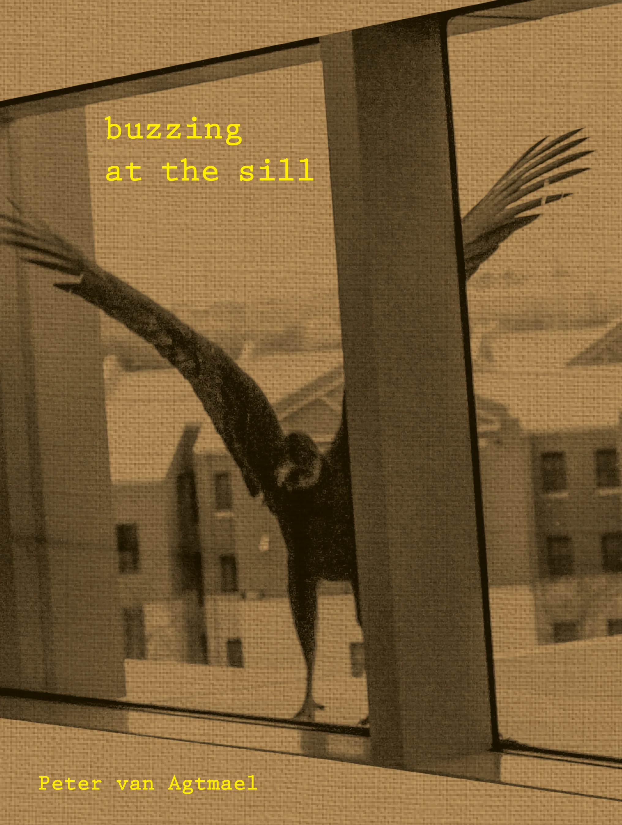BATS_BookCover.jpg