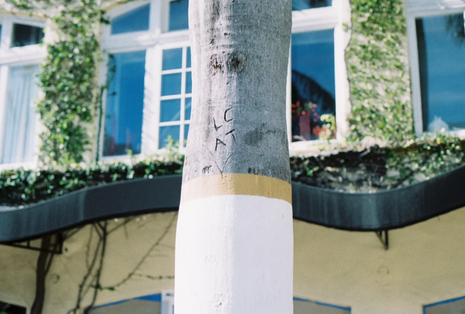 0009007_0009007-R1-049-23.jpg