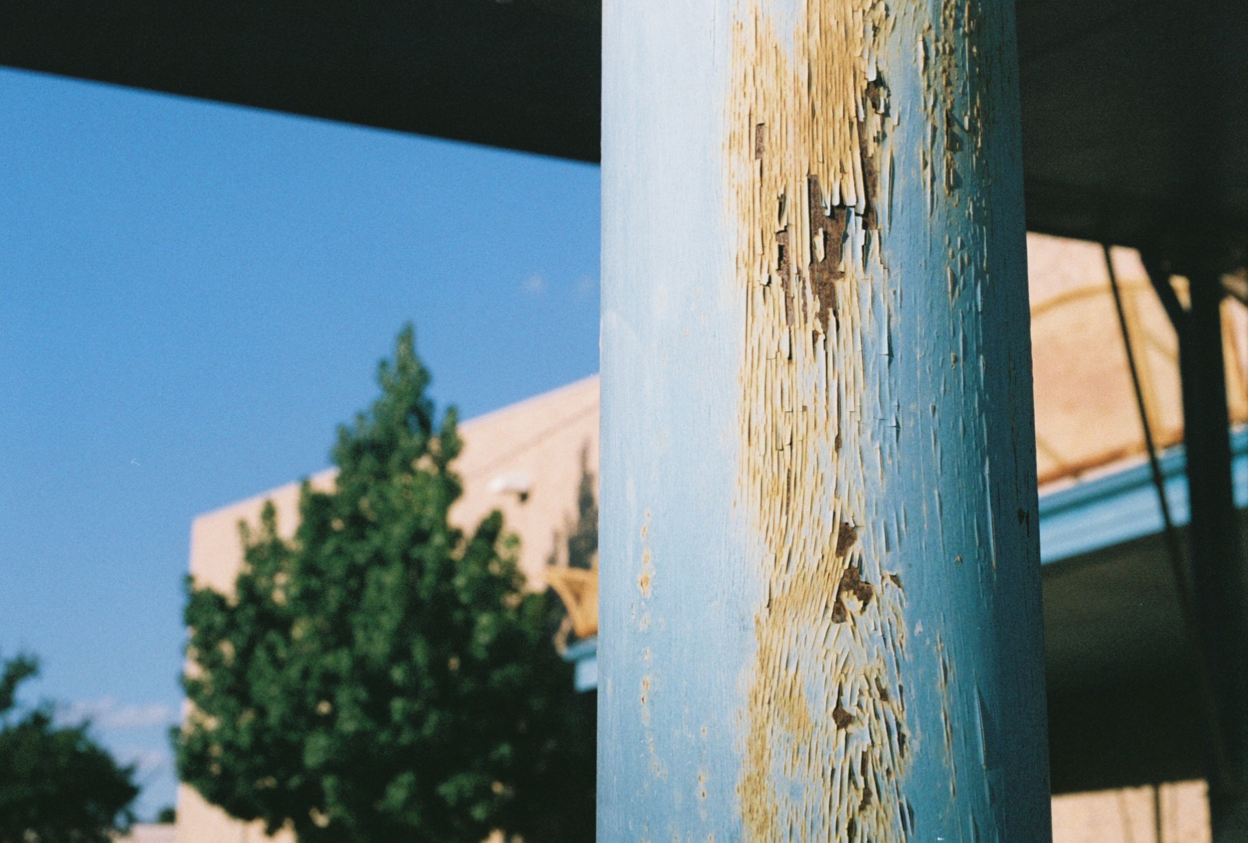 0008813_0008813-R1-038-17A.jpg