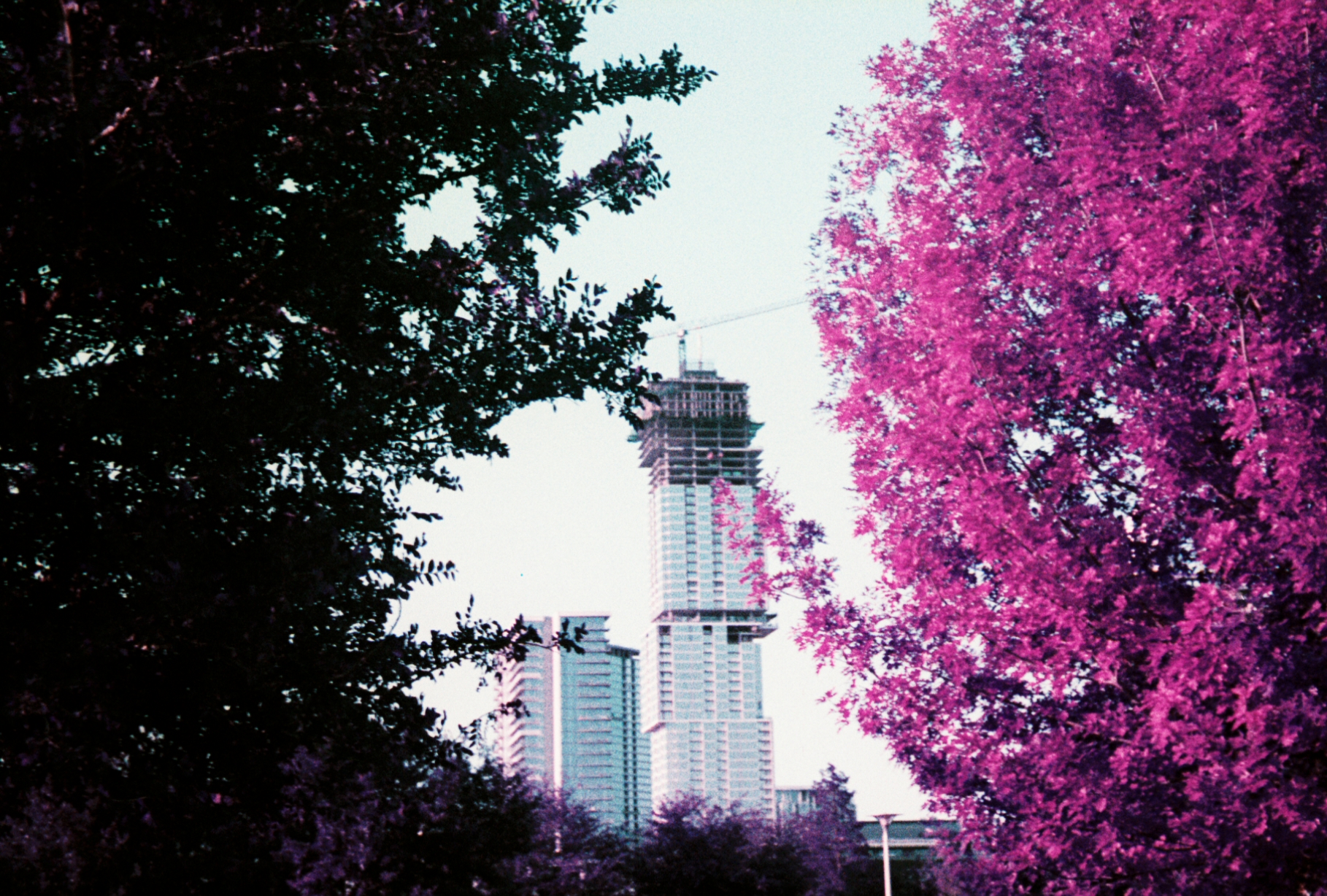 0008258_0008258-R1-E001.jpg