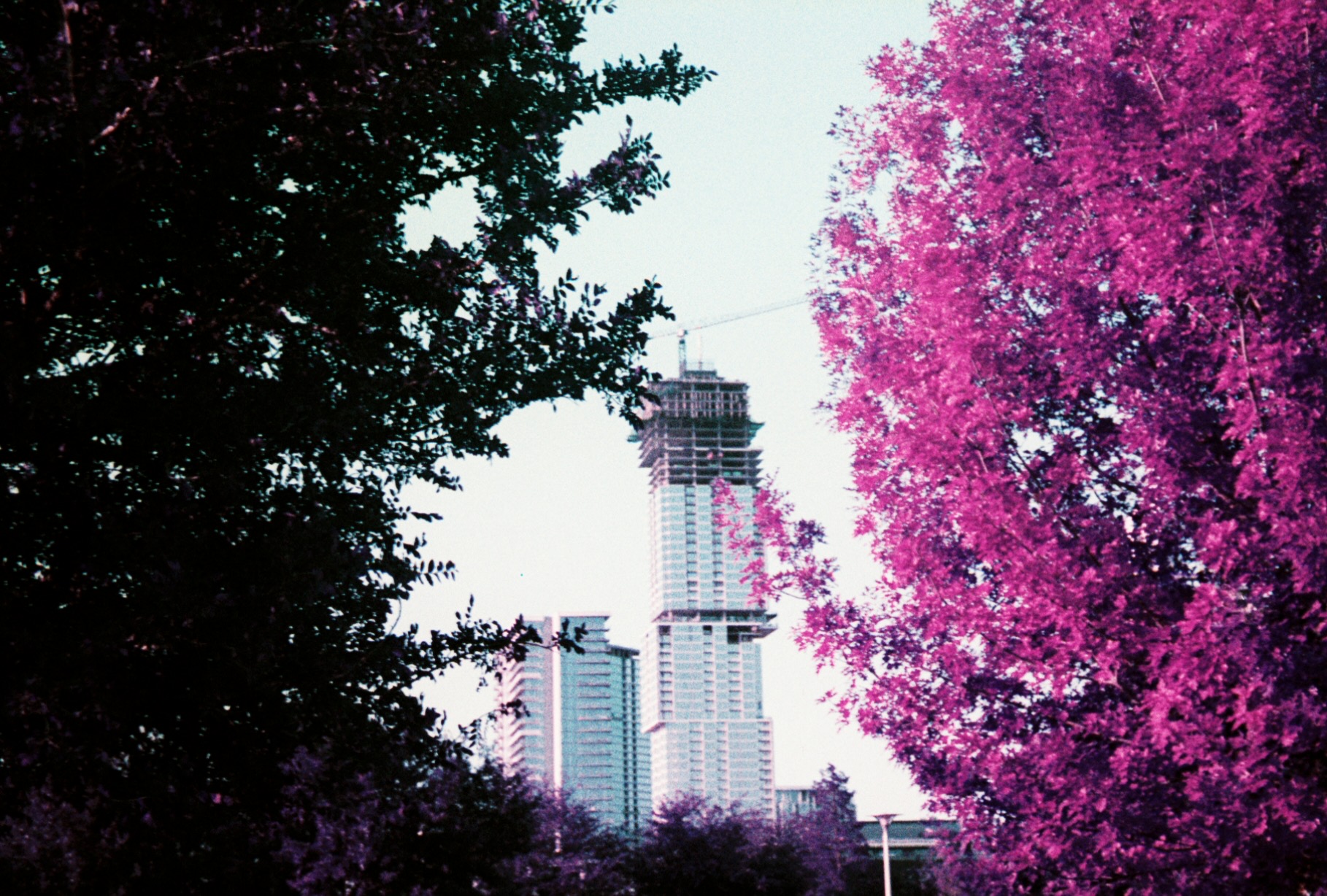 0008258_0008258-R1-E001.jpg