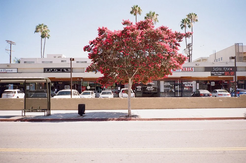 Photograph: Kwasi Boyd-Bouldin