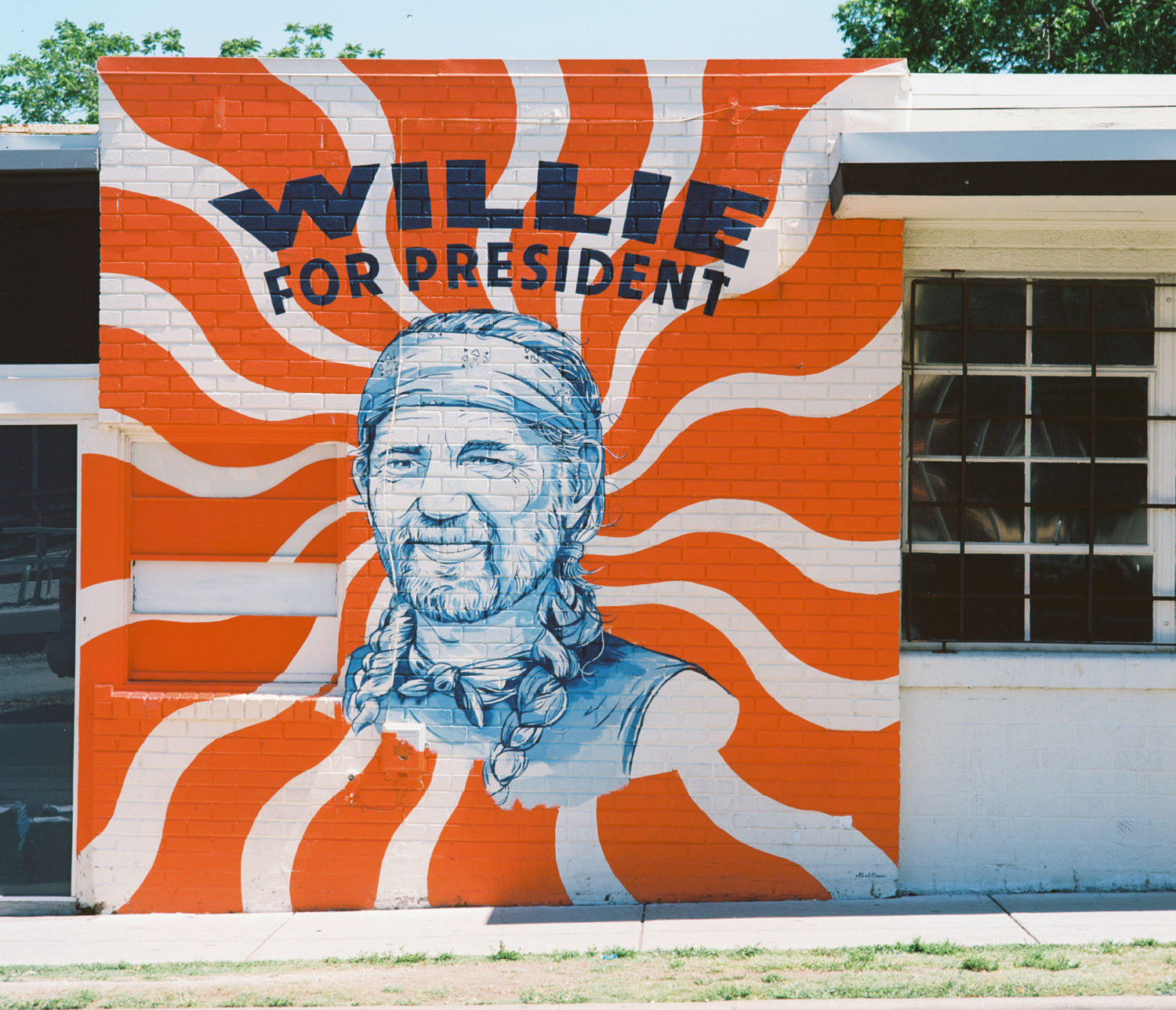 Willie on Congress by Stag Provisions