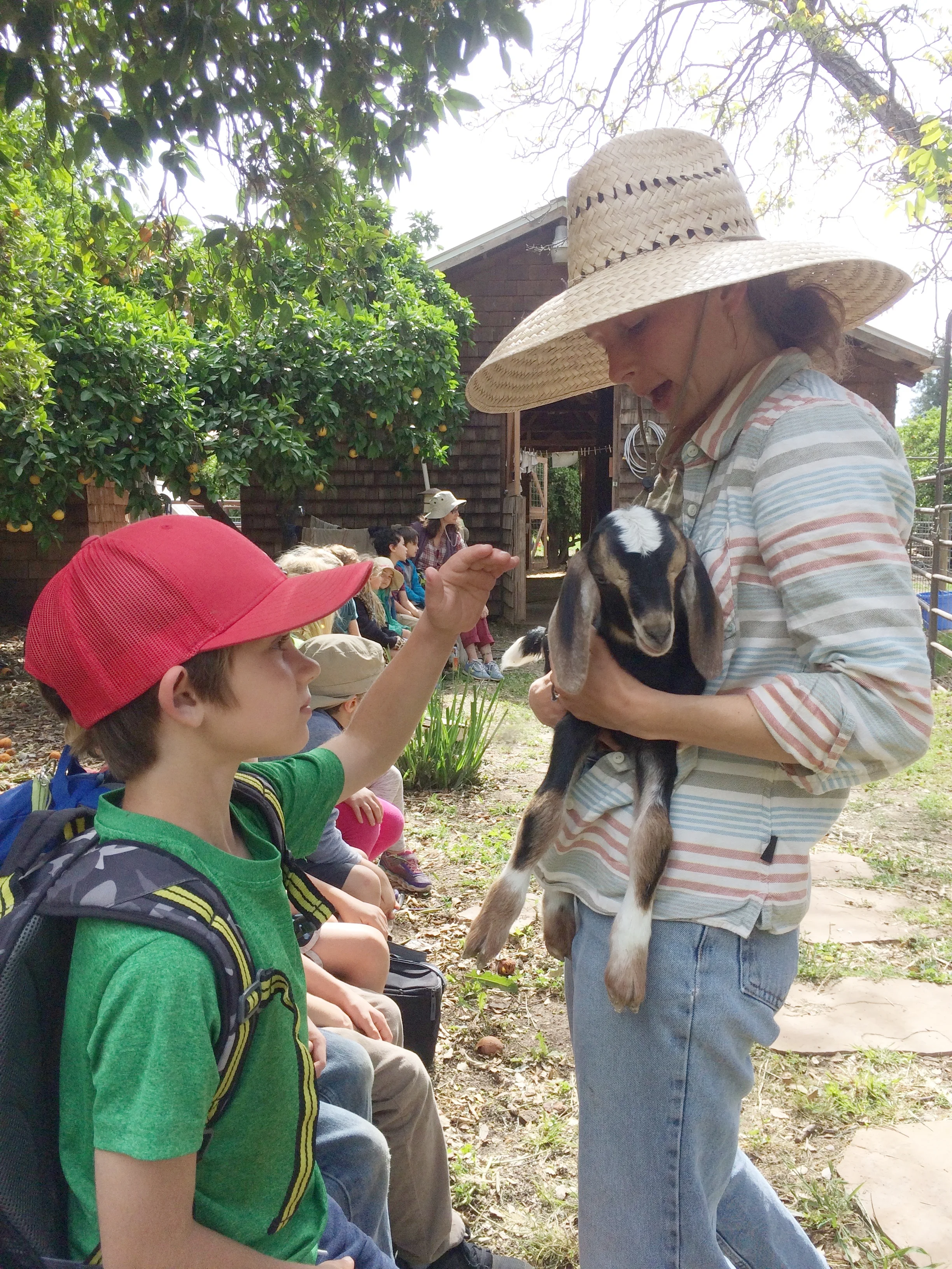 grace_students_pet_goat_bycarolesylvesteroakgrove2017.jpg