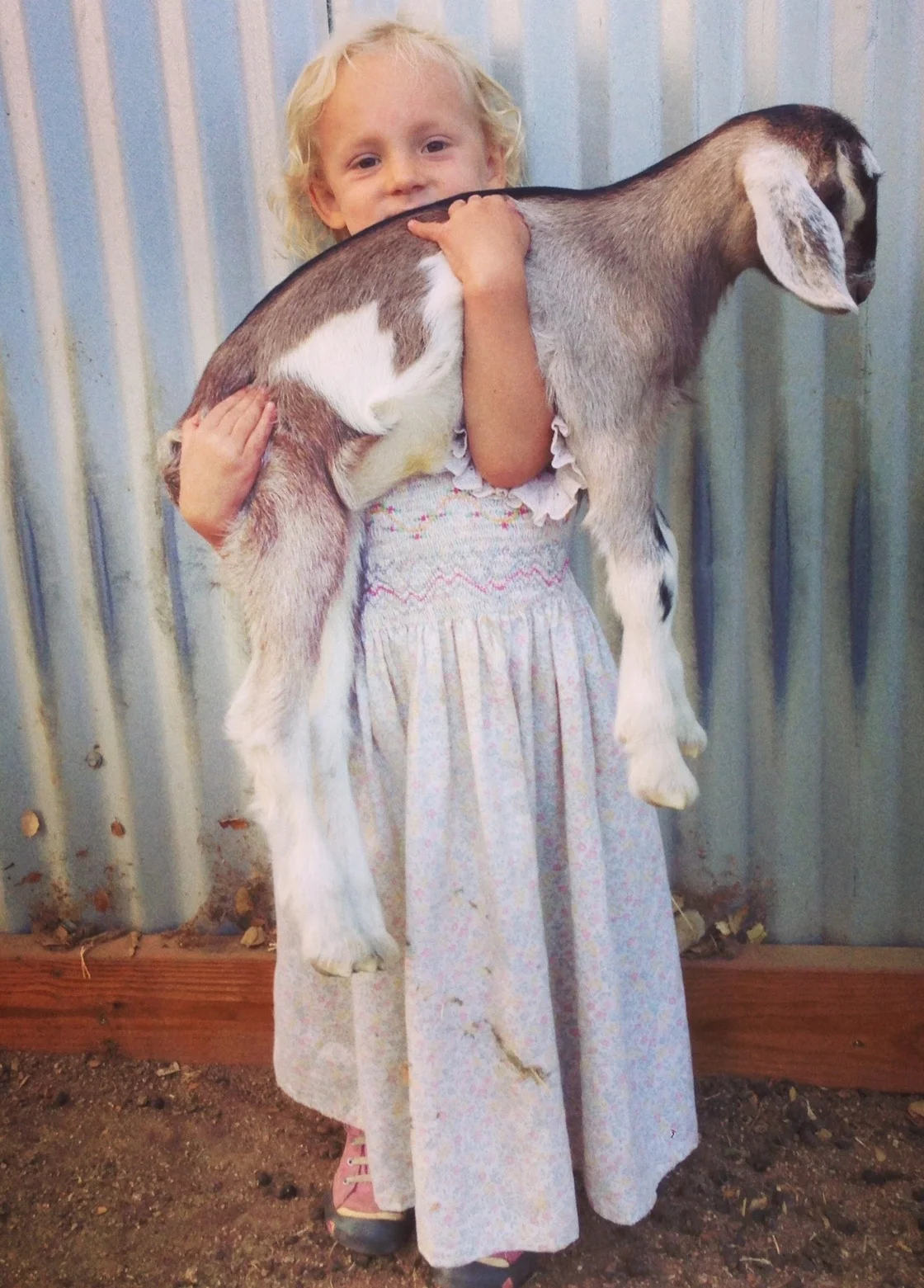 babygoatmilly.jpg