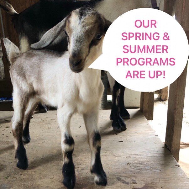 Our spring and summer programs are up on our website! Spring programs start this week and are almost full!