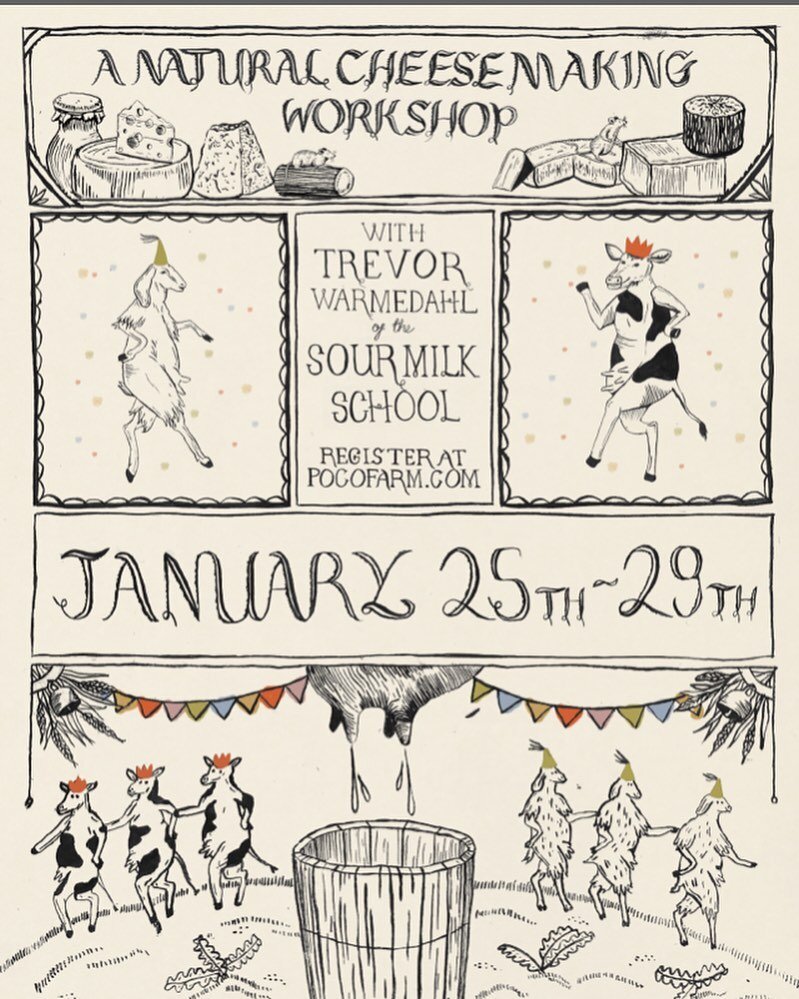 Happy New Year! We have just a few more spots left for this awesome workshop with Trevor Warmedahl @milk_trekker of the Sour Milk School Jan 25-29 here at Poco. Details and registration at the link in our bio. We are so excited to learn from him and 