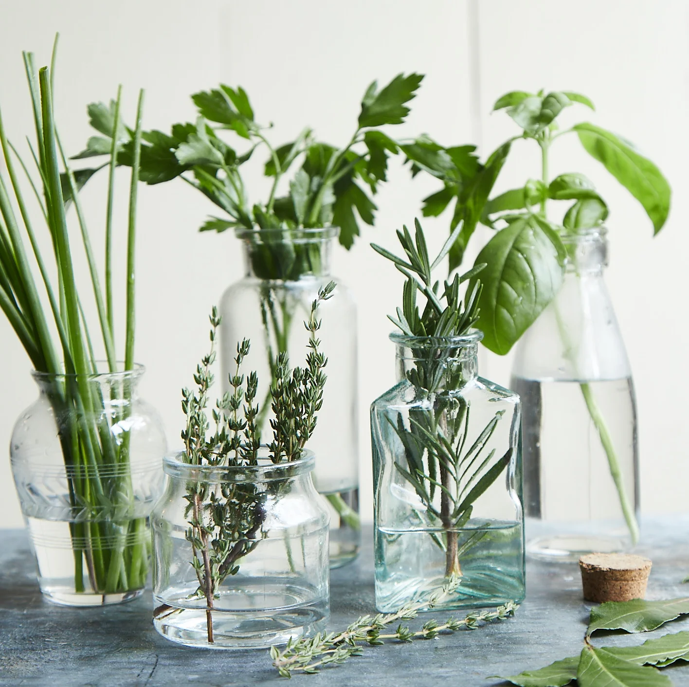 Herbs.jpg