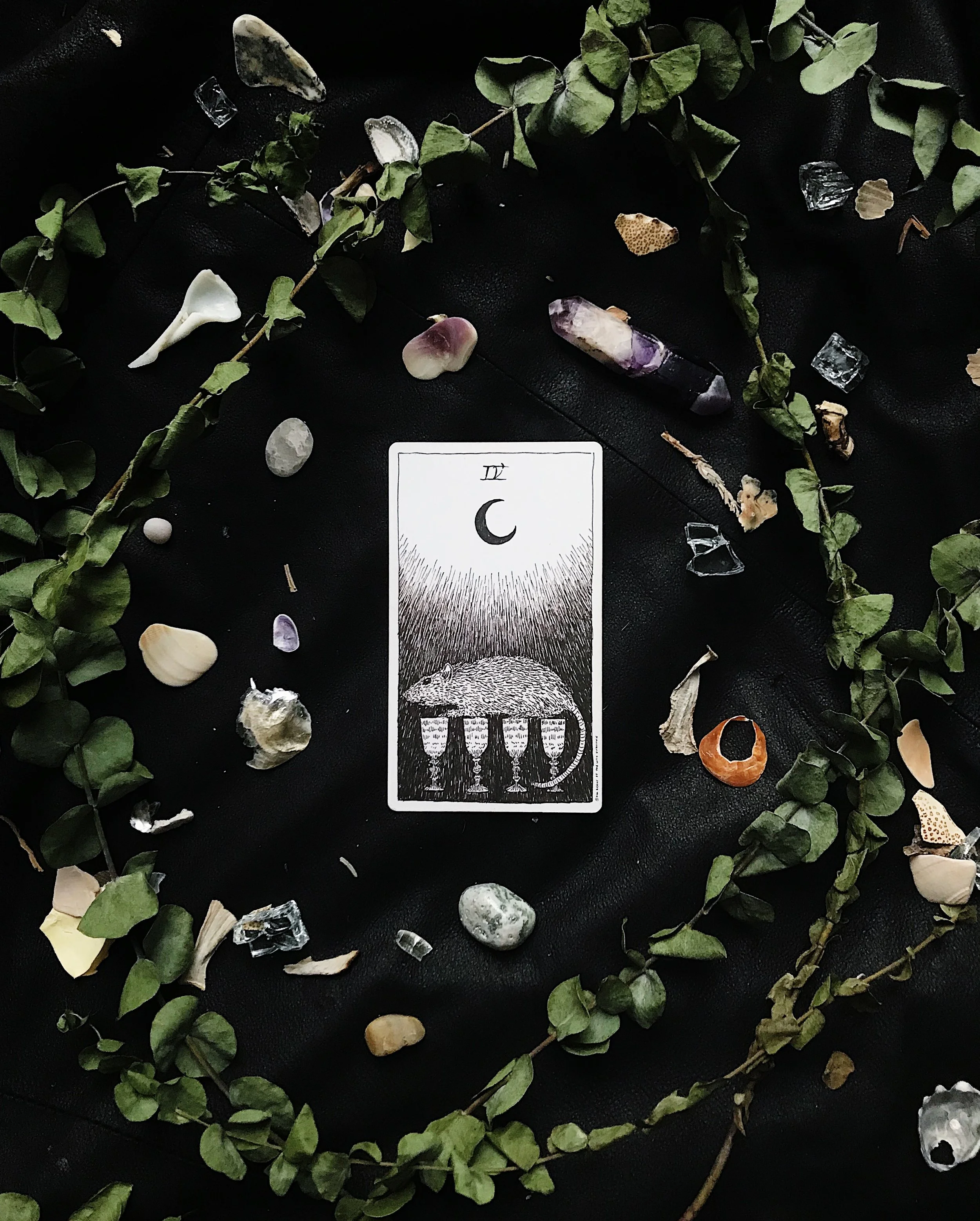TAROTSCOPES | OCTOBER 23 - OCTOBER 29