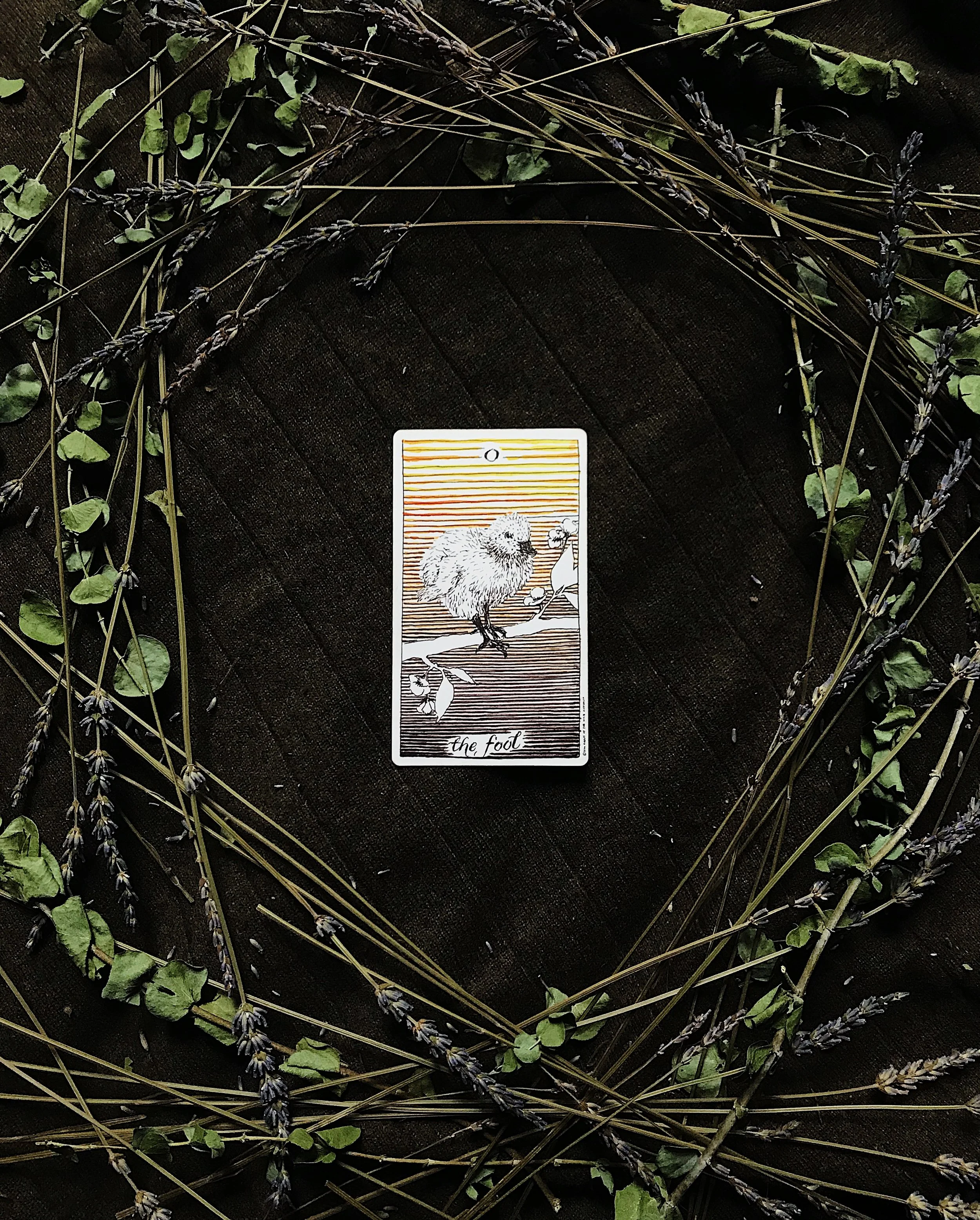 TAROTCOPES | NOVEMBER 13 - NOVEMBER 19