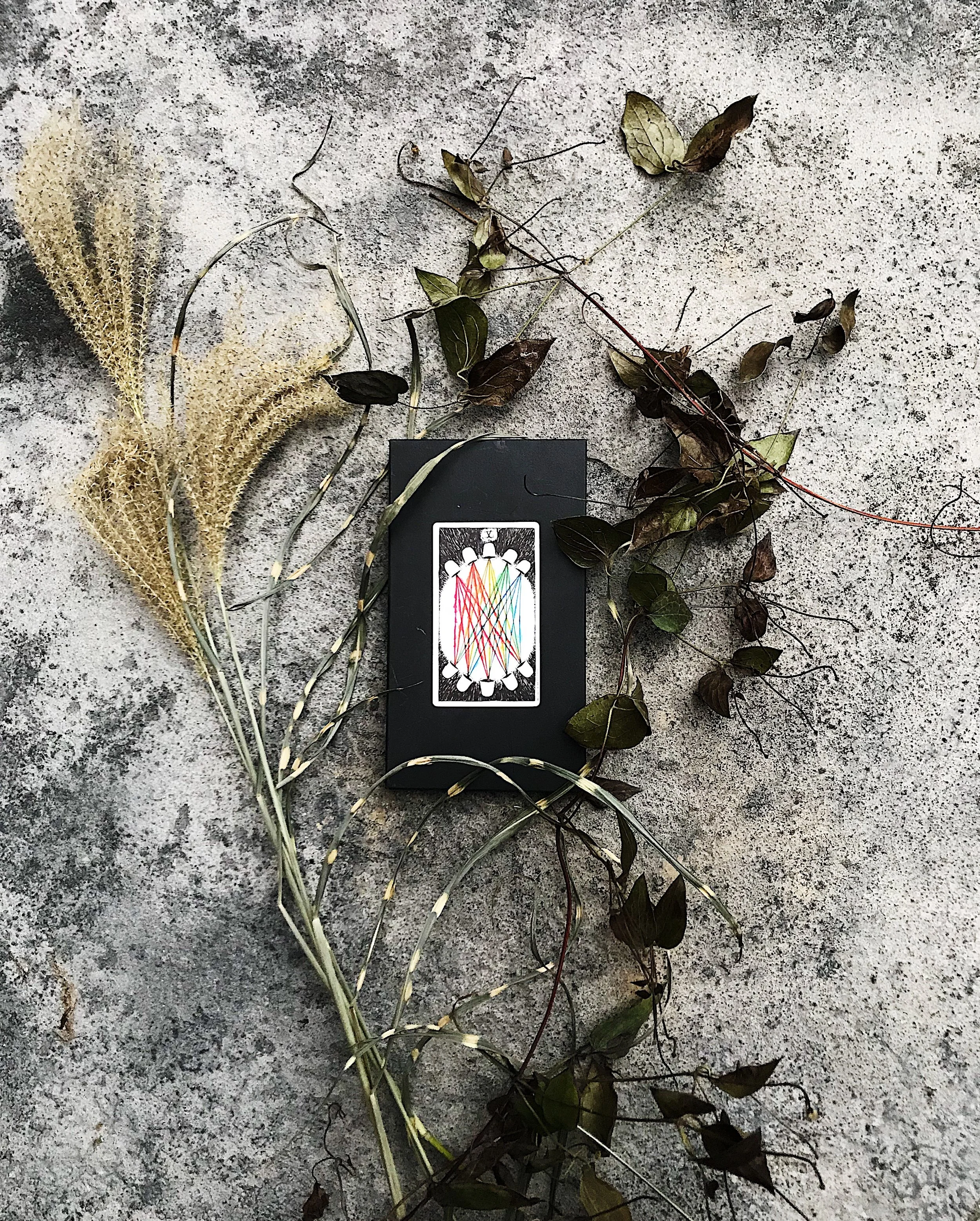 TAROTSCOPES | NOVEMBER 20 - NOVEMBER 26