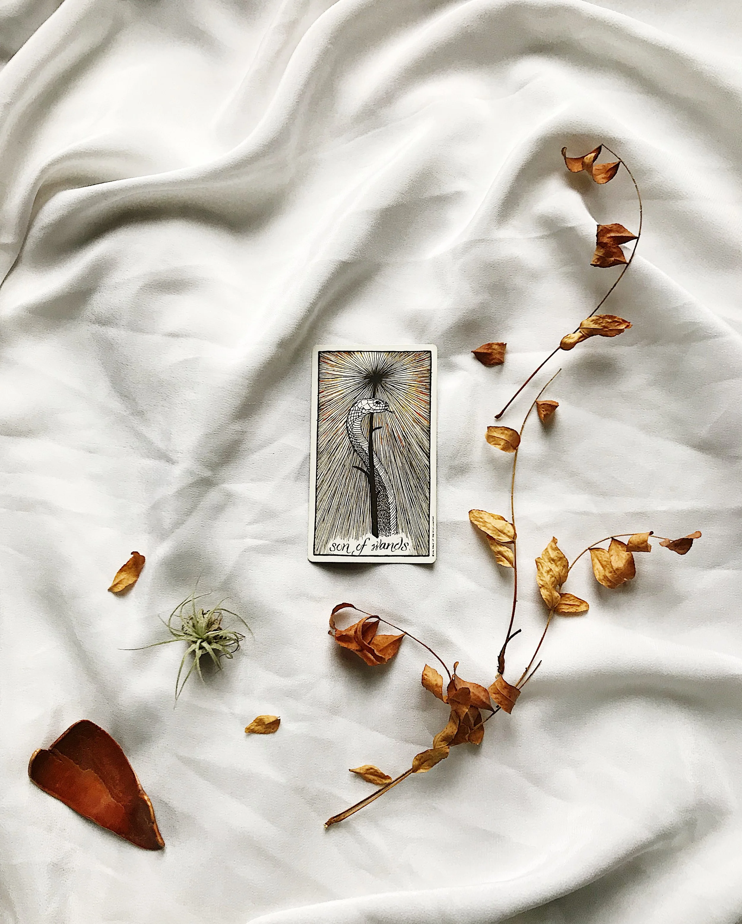 TAROTSCOPES | DECEMBER 4 - DECEMBER 10