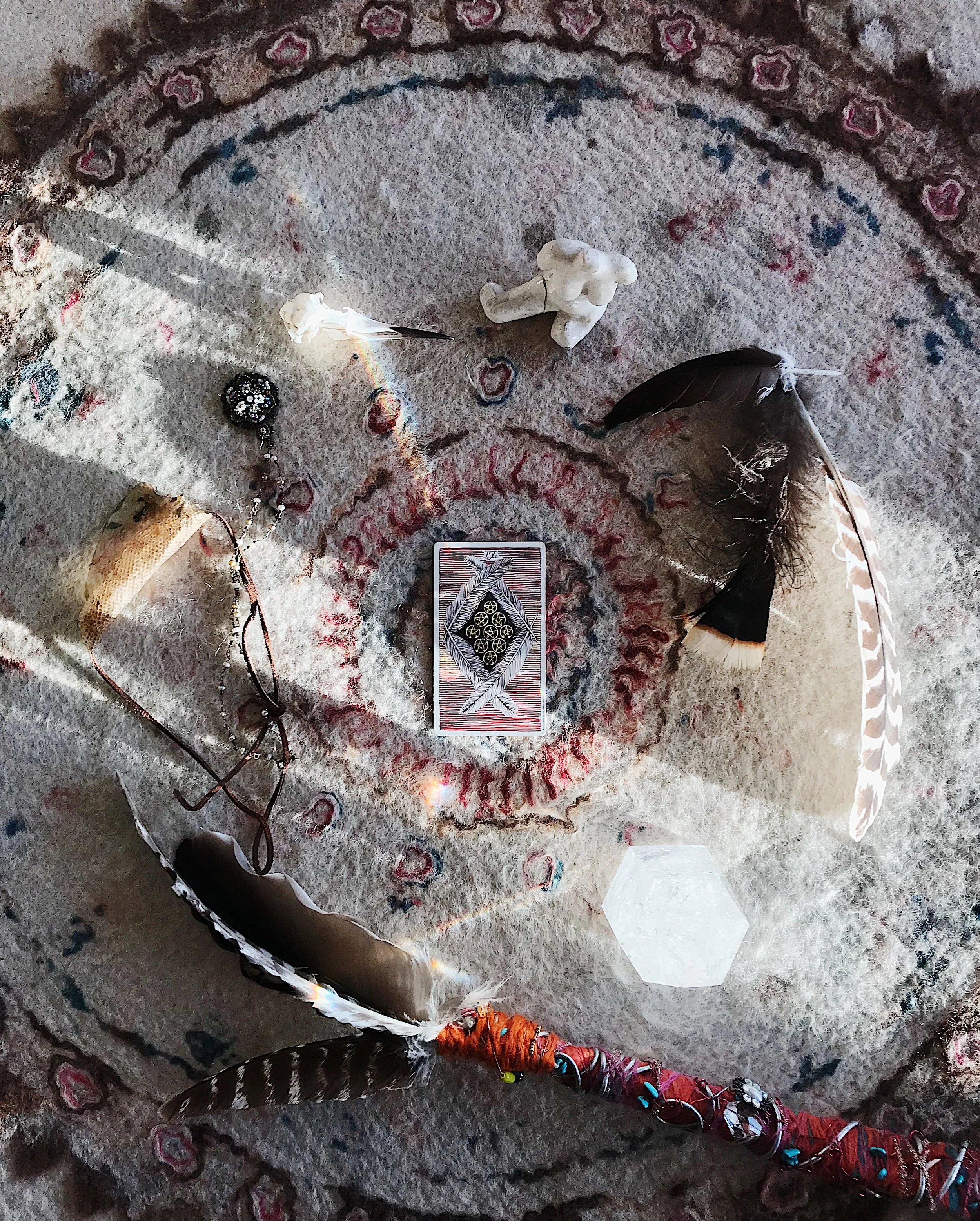 TAROTSCOPES | FEBRUARY 19 - FEBRUARY 25