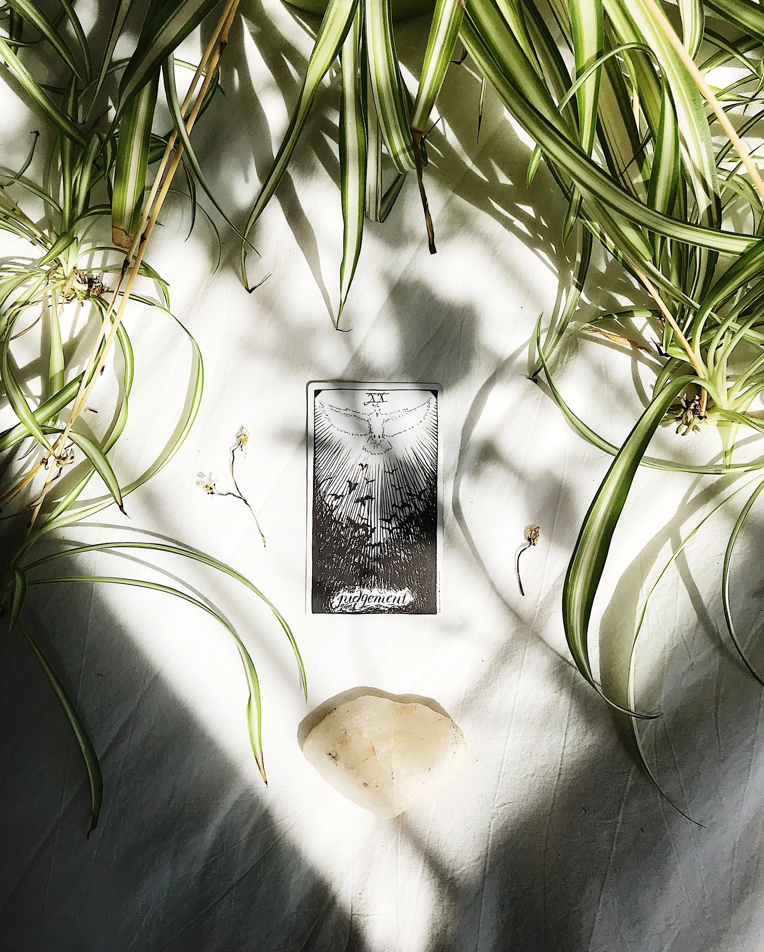 TAROTSCOPES | MARCH 19 - MARCH 25