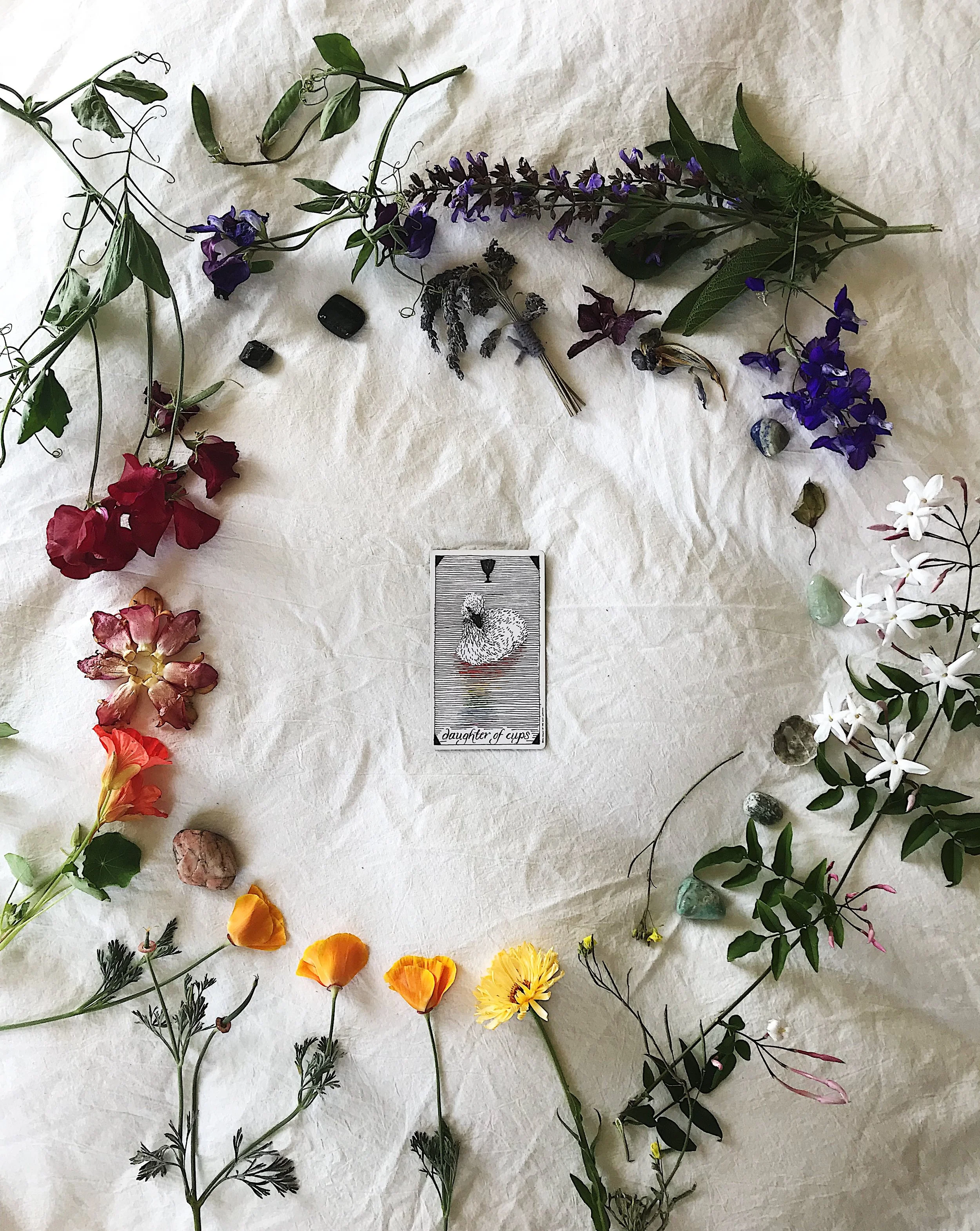 TAROTSCOPES | JUNE 18 - JUNE 24