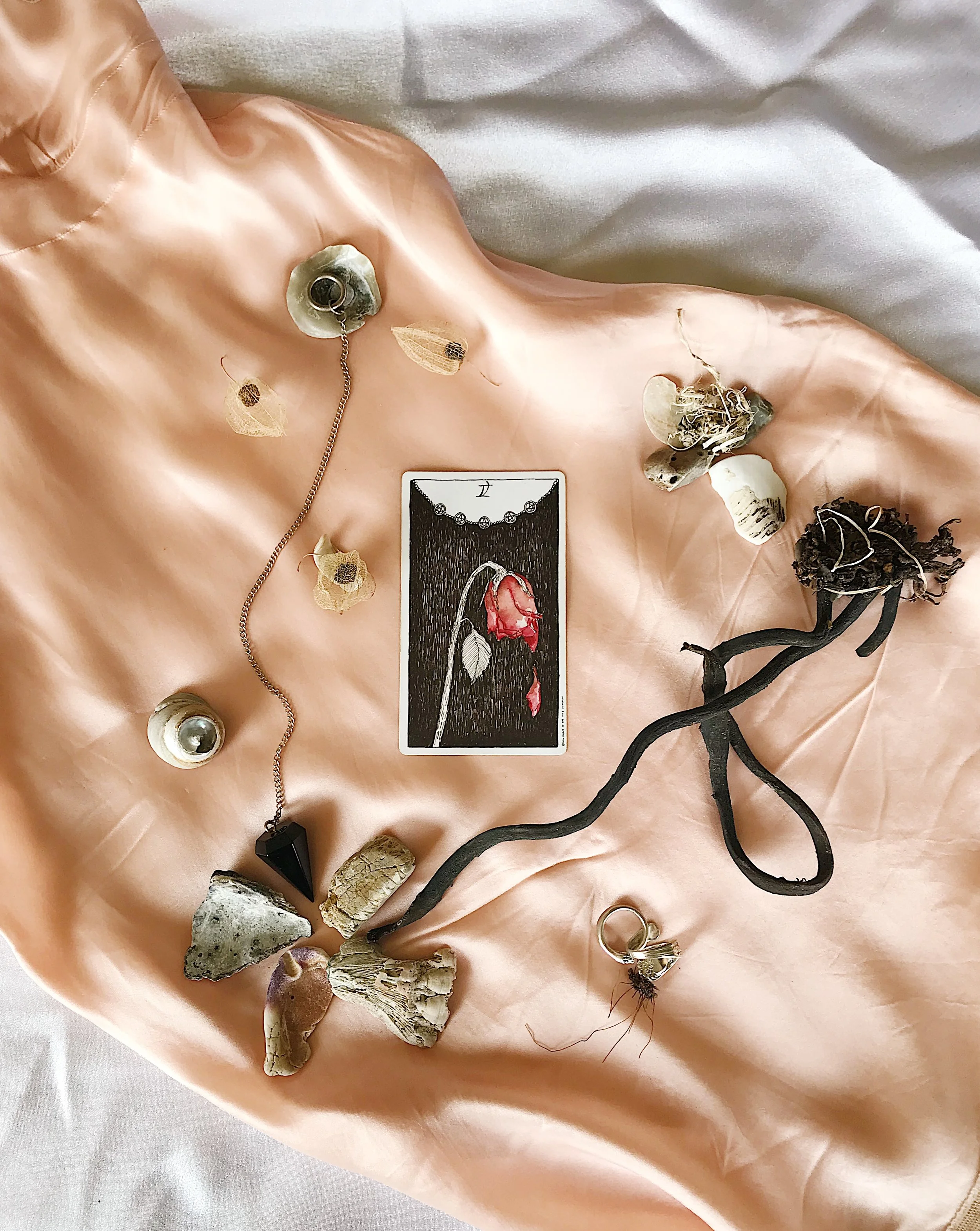 TAROTSCOPES | AUGUST 13 - AUGUST 19