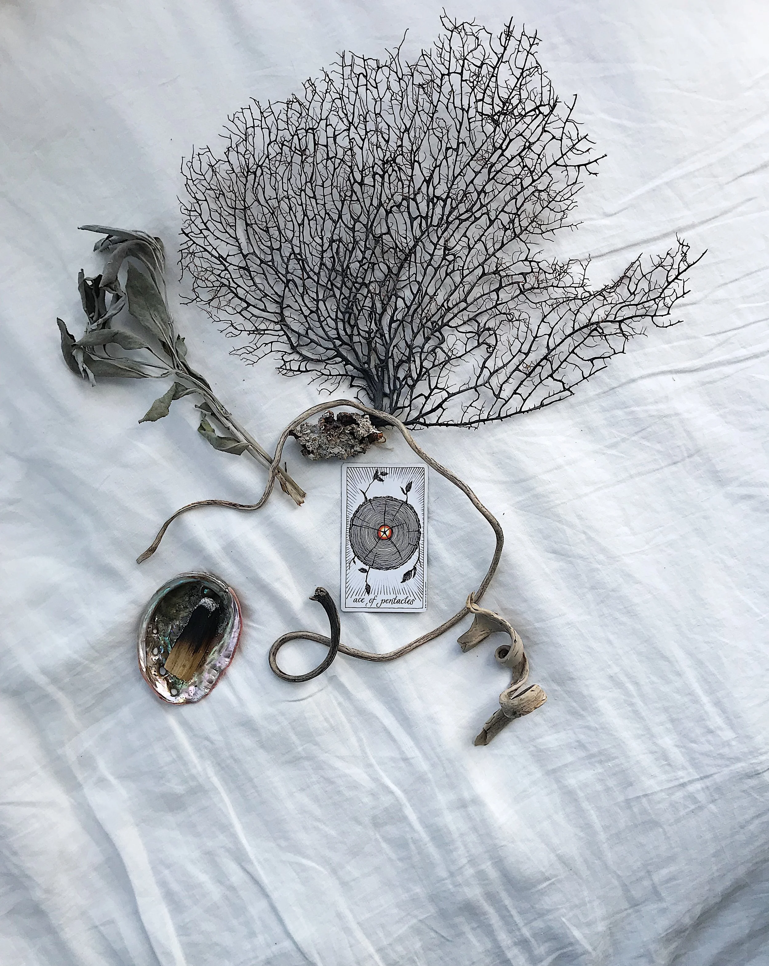 TAROTSCOPES | AUGUST 20 - AUGUST 26