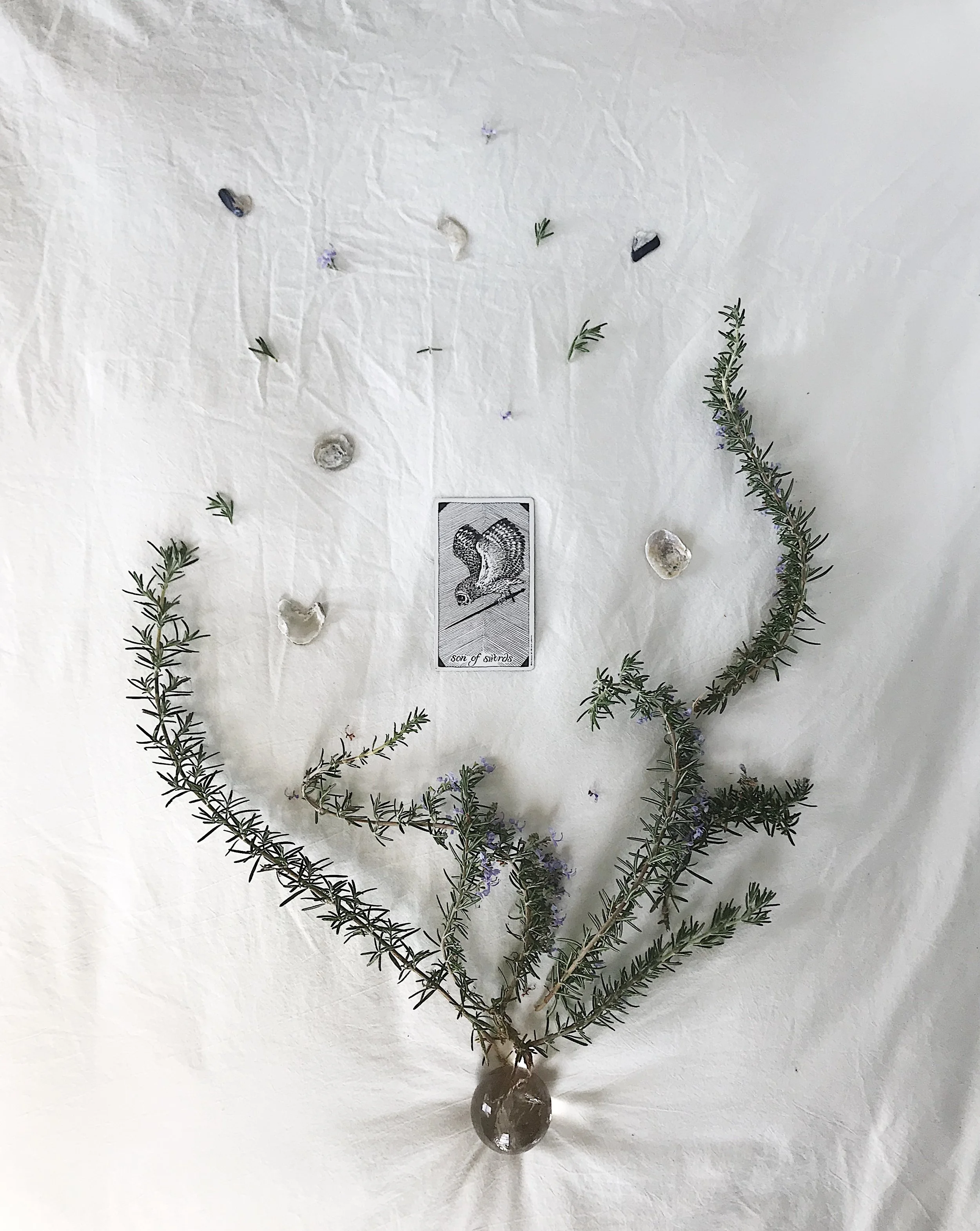 TAROTSCOPES | AUGUST 26 - SEPTEMBER 2