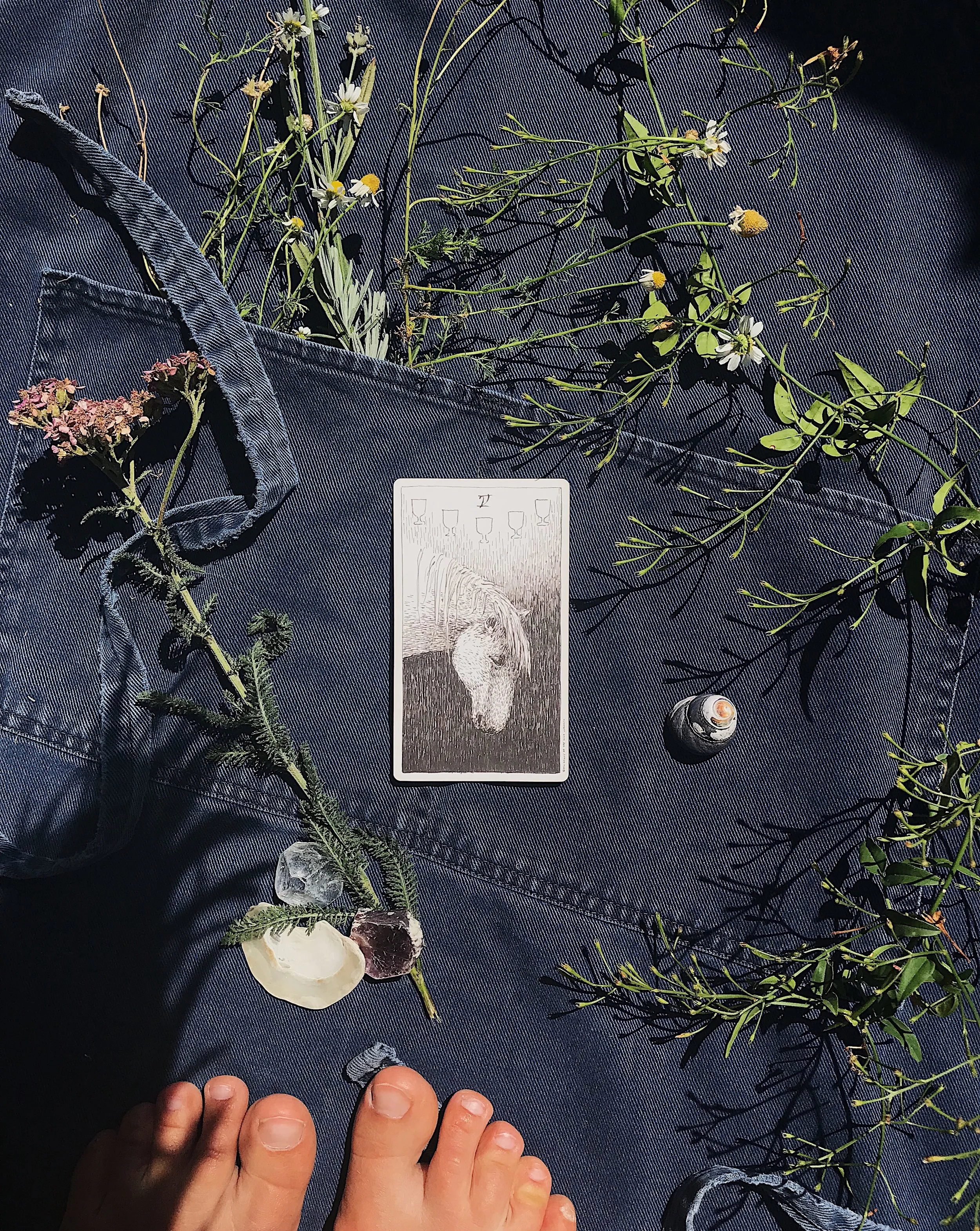 TAROTSCOPES | SEPTEMBER 17 - SEPTEMBER 23