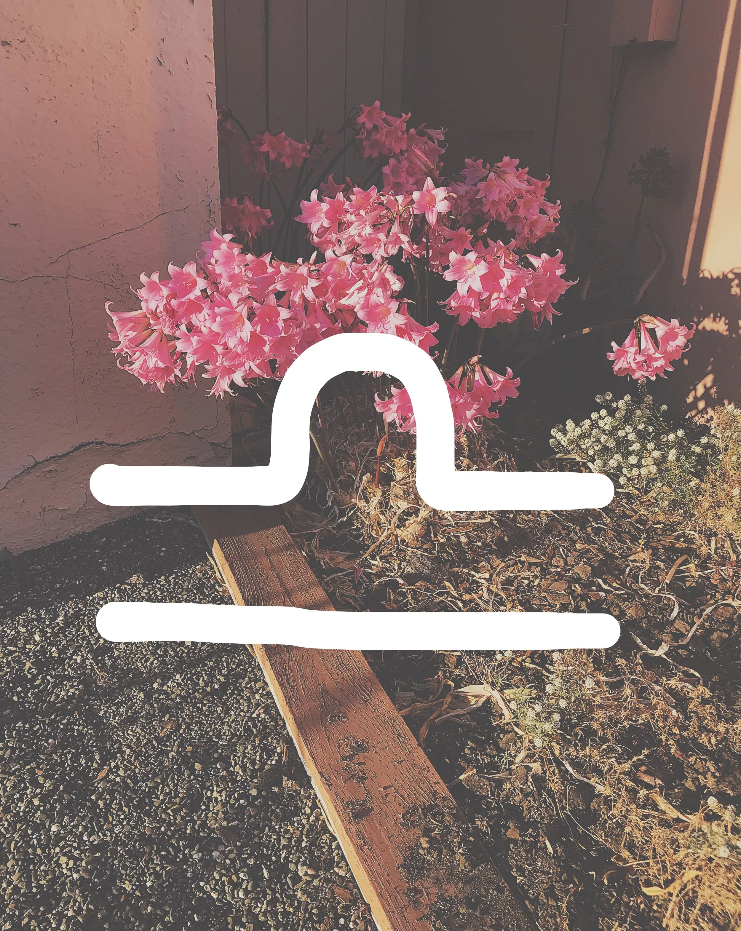 WEEKLY ASTROLOGY: SEPTEMBER 17 - SEPTEMBER 23