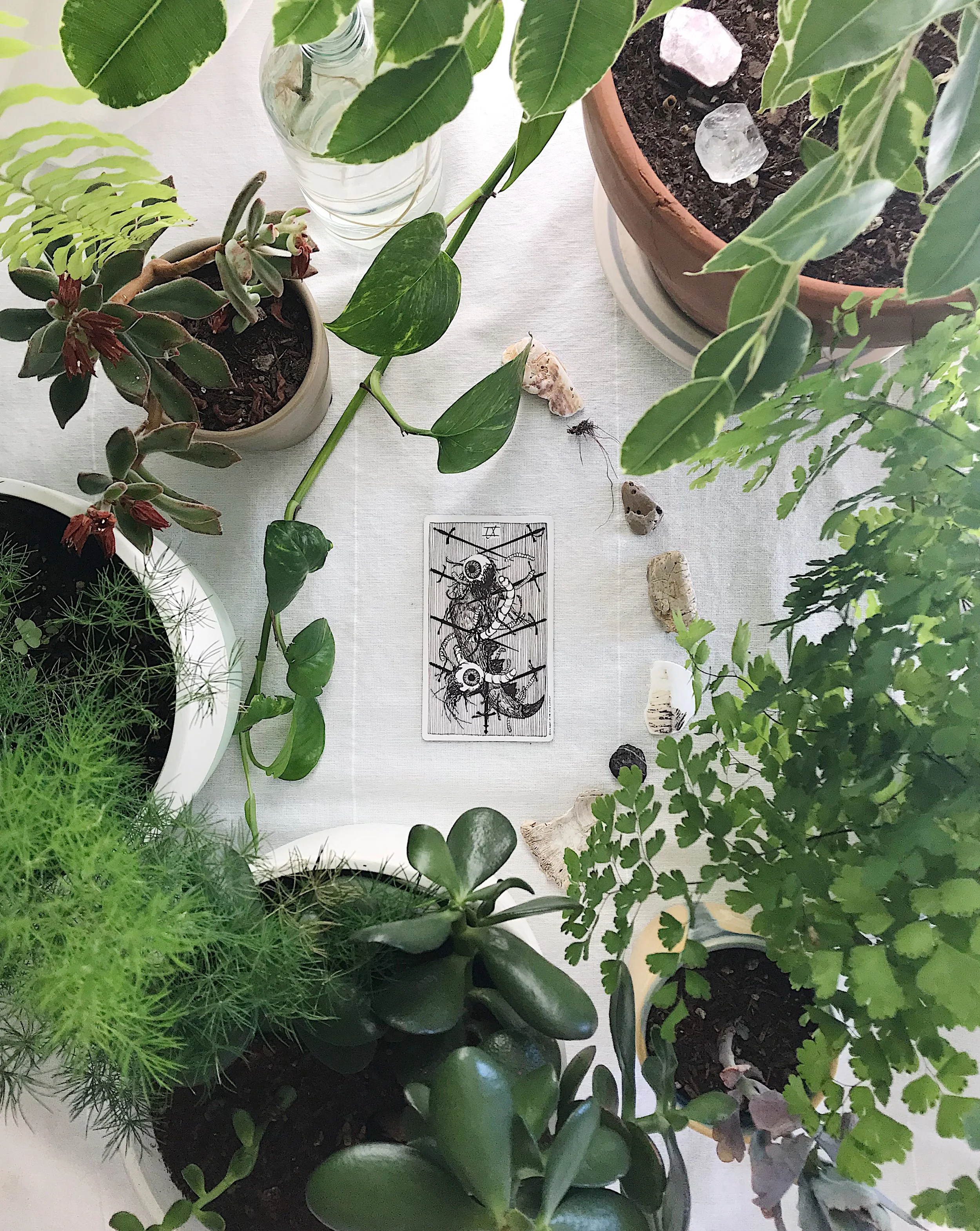 TAROTSCOPES | SEPTEMBER 24 - SEPTEMBER 30