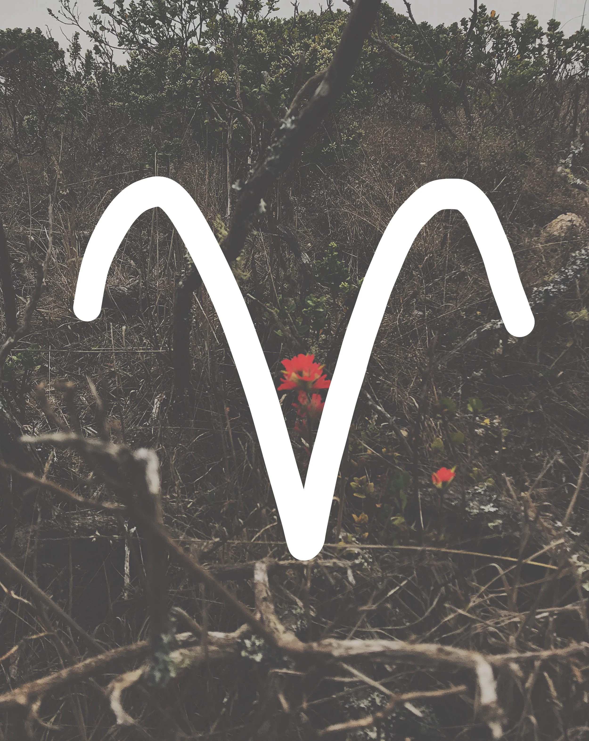 HOROSCOPES FOR THE FULL MOON IN ARIES