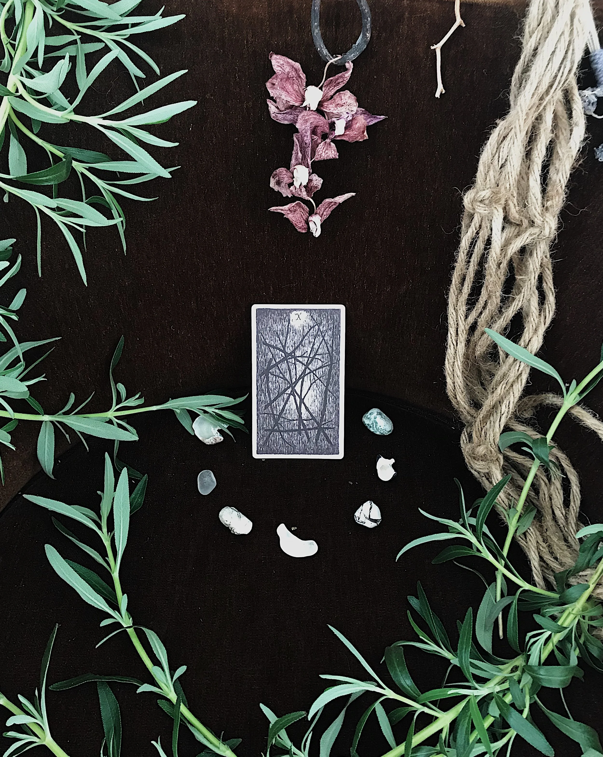 TAROTSCOPES | OCTOBER 8 - OCTOBER 14