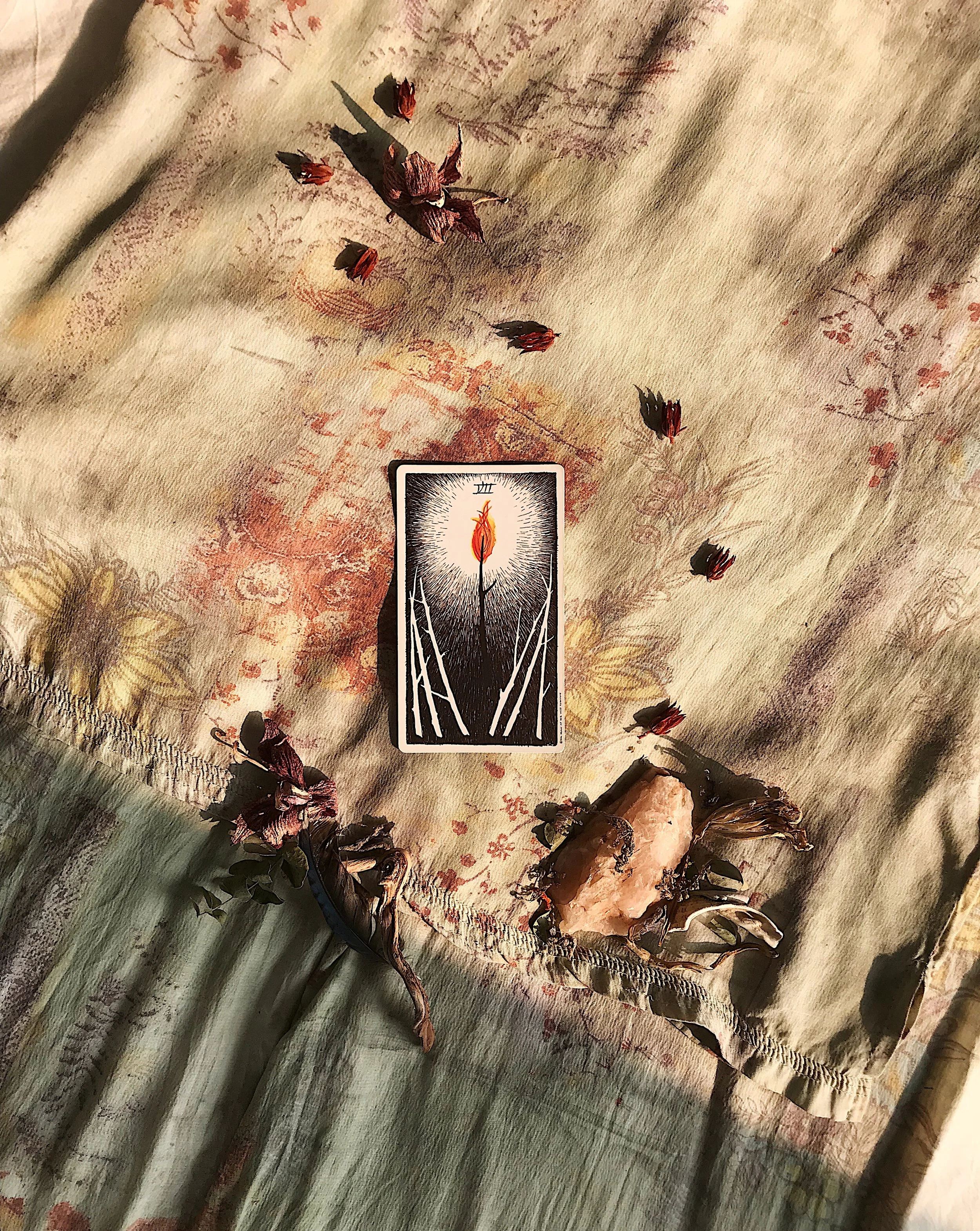 TAROTSCOPES | NOVEMBER 19 - NOVEMBER 25