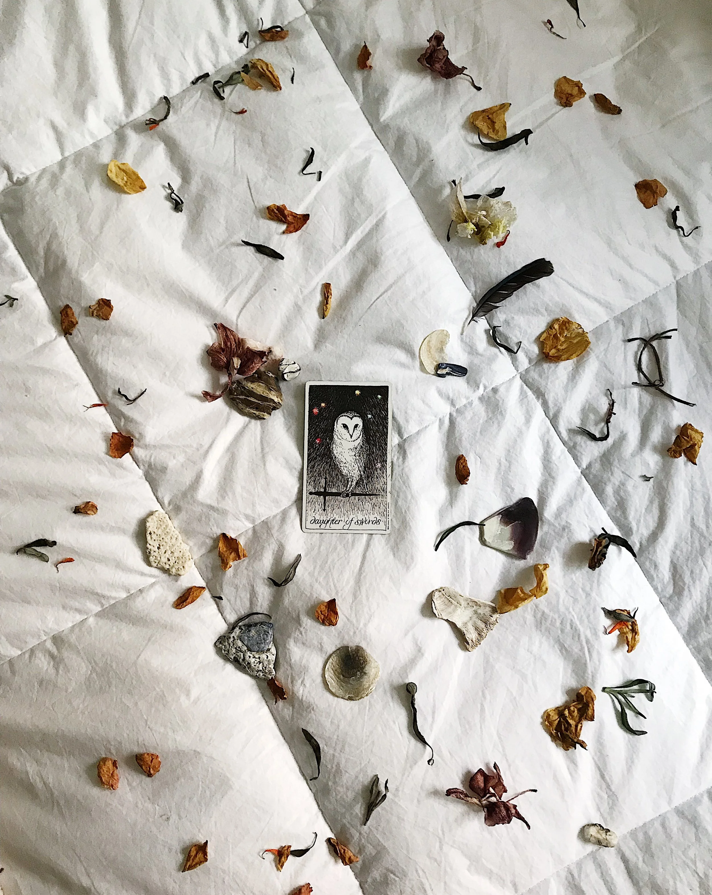 TAROTSCOPES | DECEMBER 24 - 30