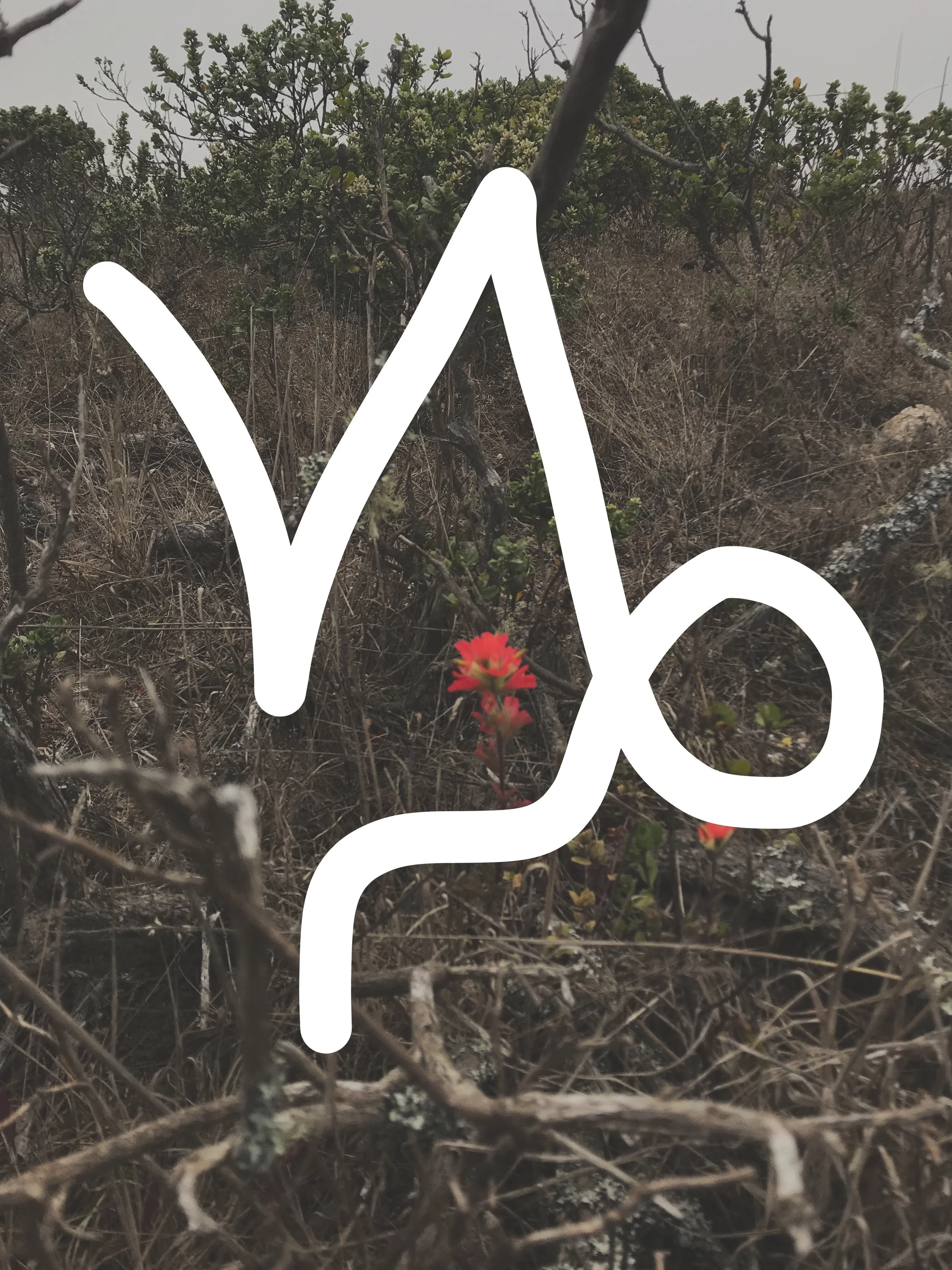 ASTROLOGY THIS WEEK: JAN 14 - JANUARY 20