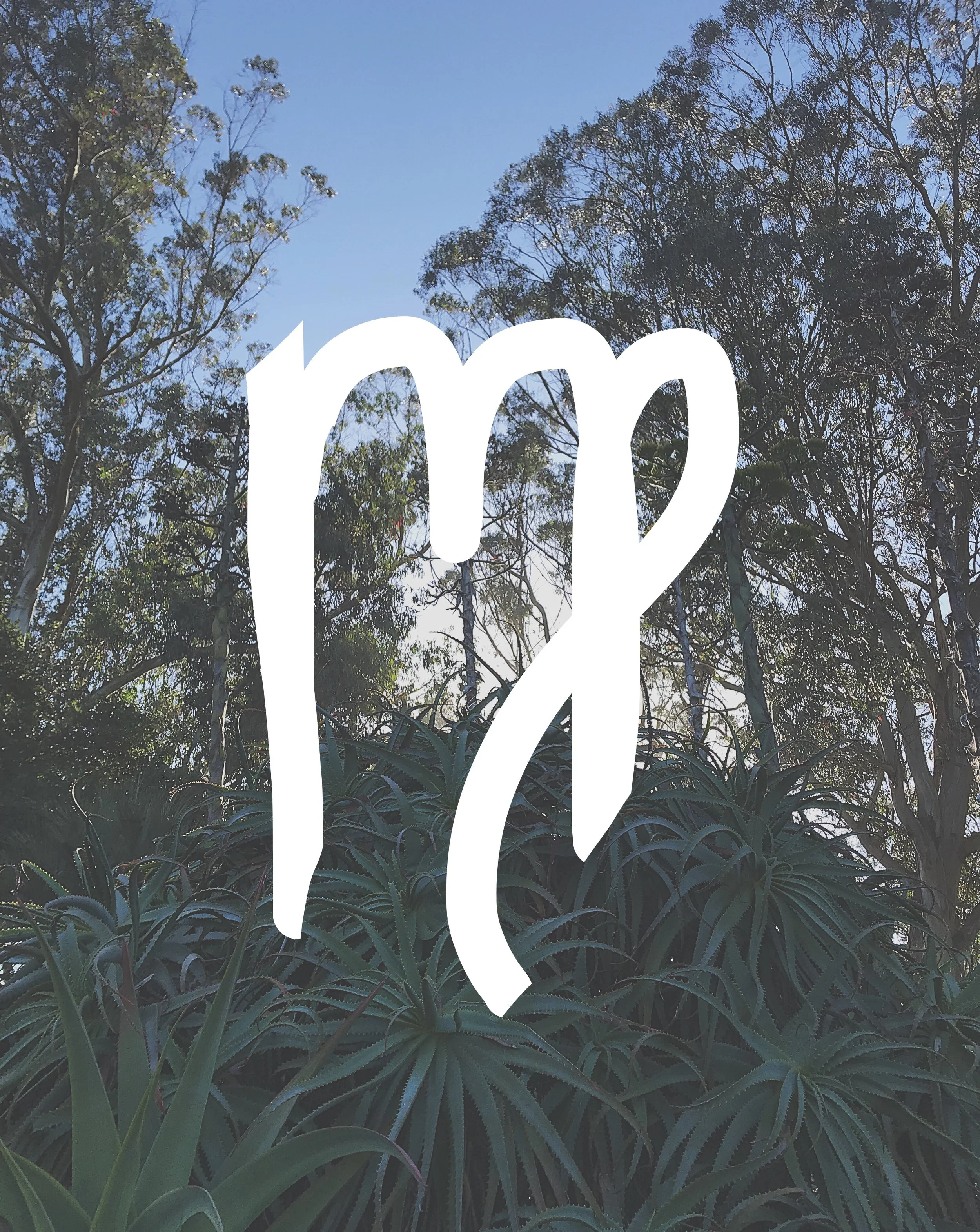 HOROSCOPES FOR THE FULL MOON IN VIRGO