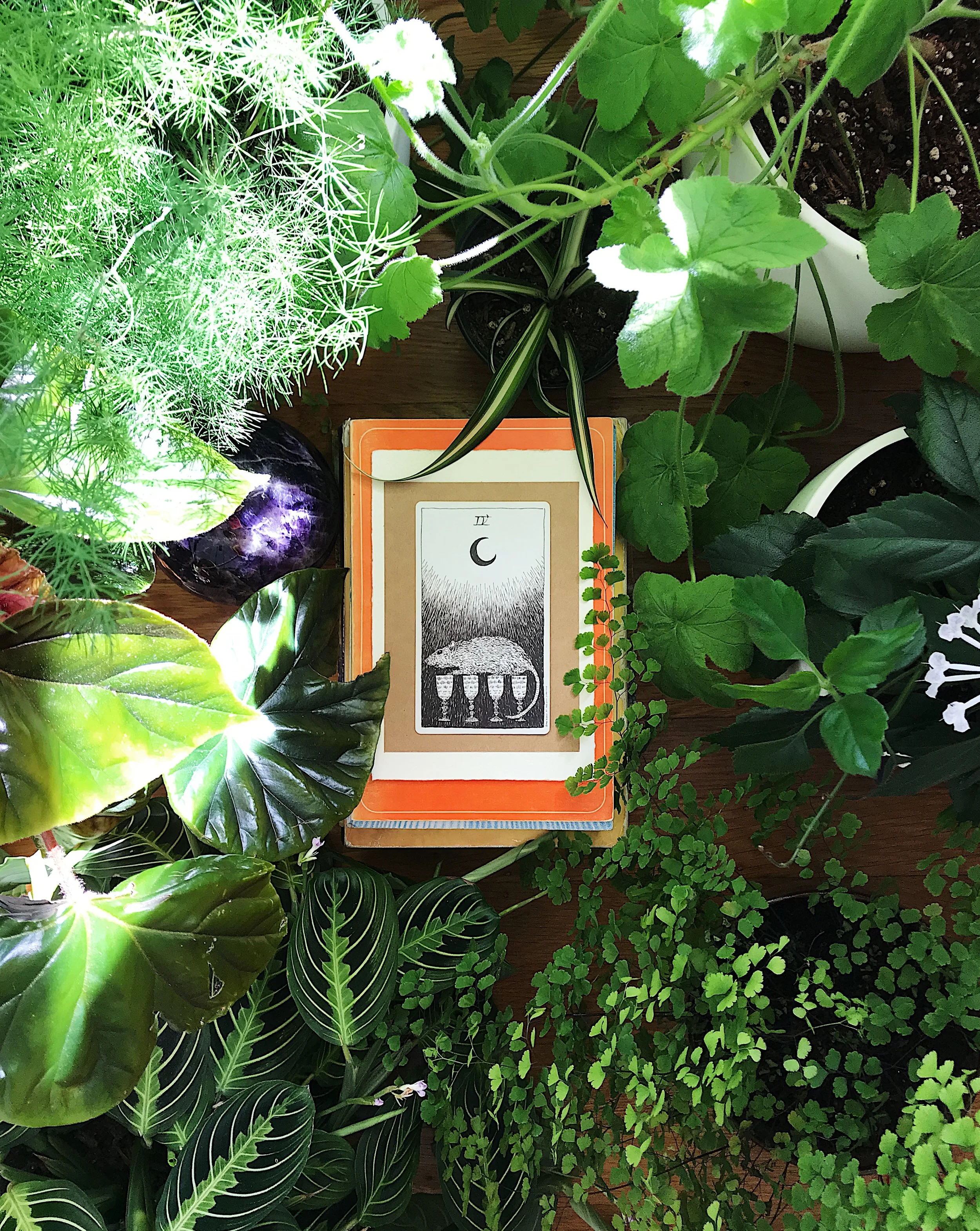TAROTSCOPES | APRIL 1 - APRIL 7