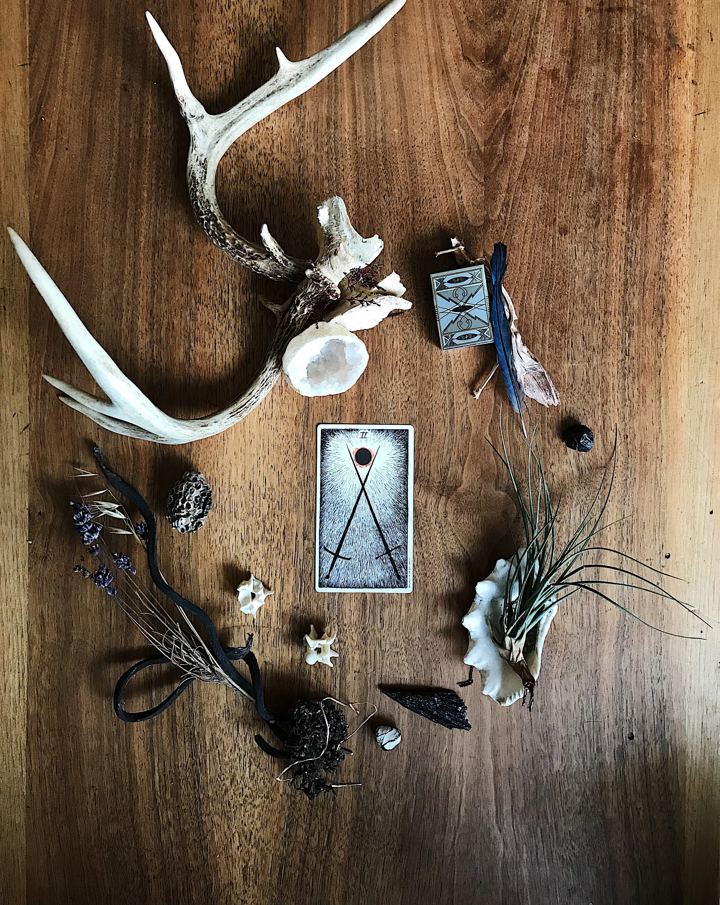 TAROTSCOPES | APRIL 29 - MAY 5