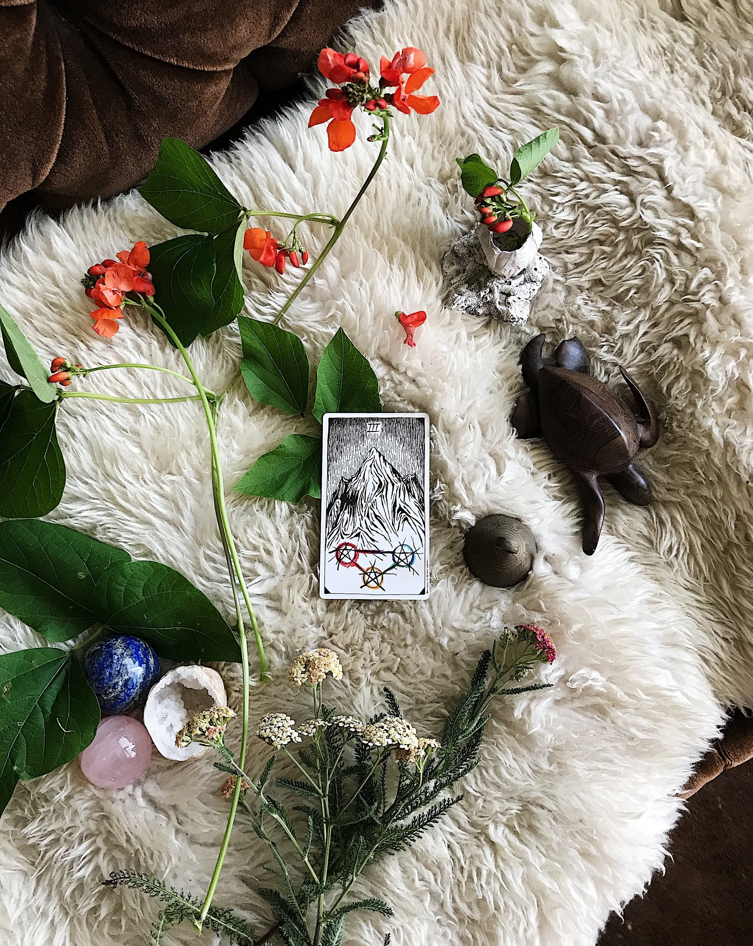 TAROTSCOPES | JULY 29 - AUGUST 4