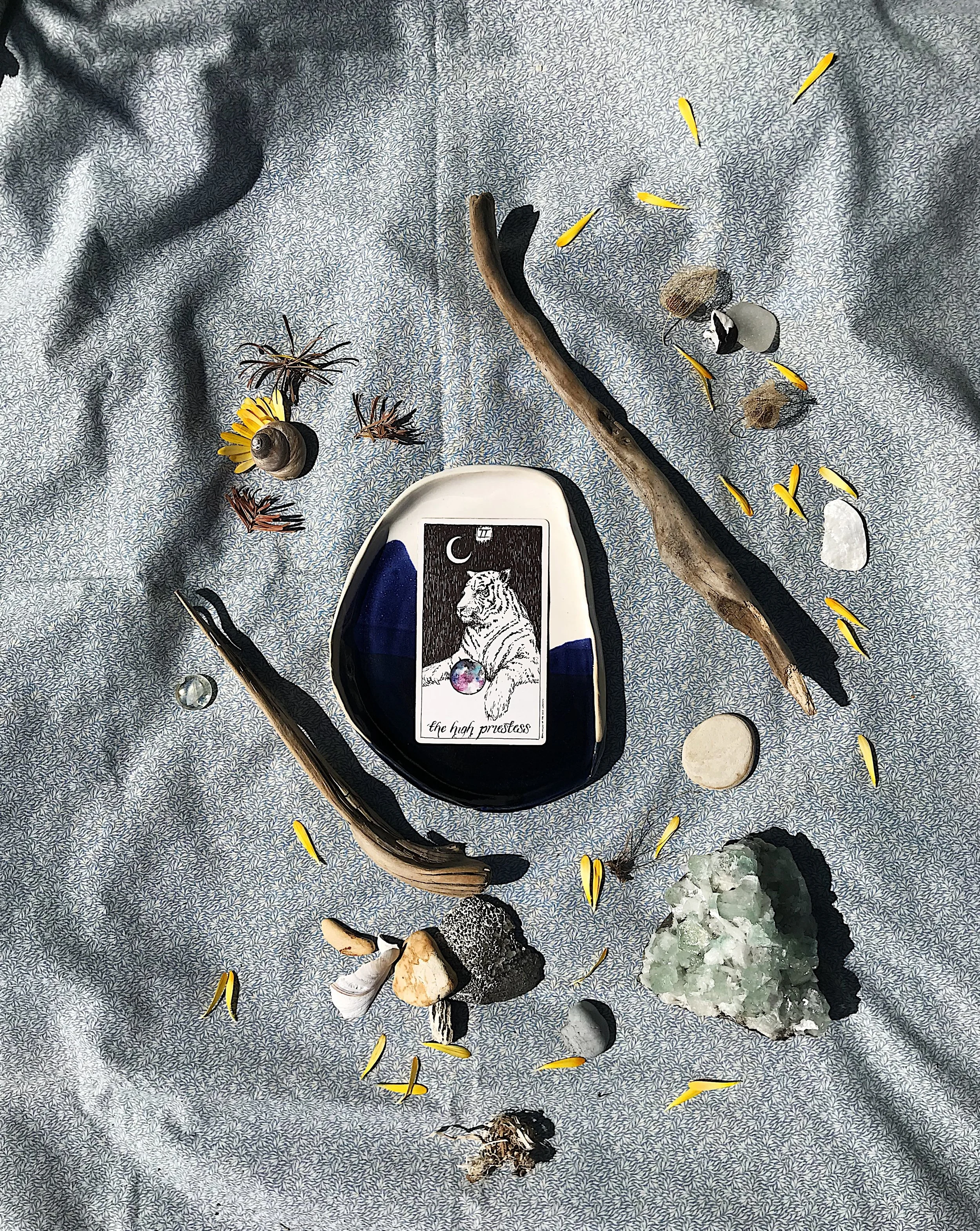 TAROTSCOPES | AUGUST 19 - AUGUST 25